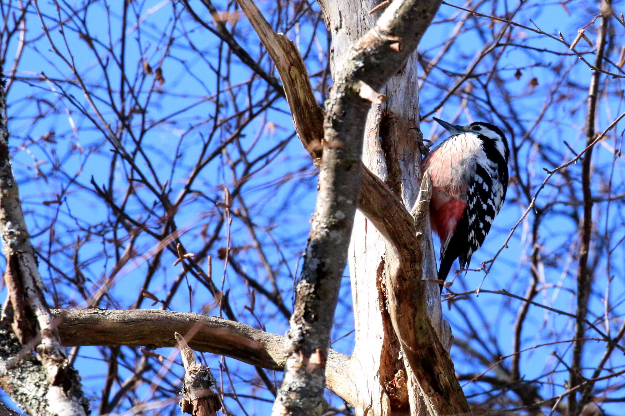 Valokuvaaja: Antero Tykkyläinen