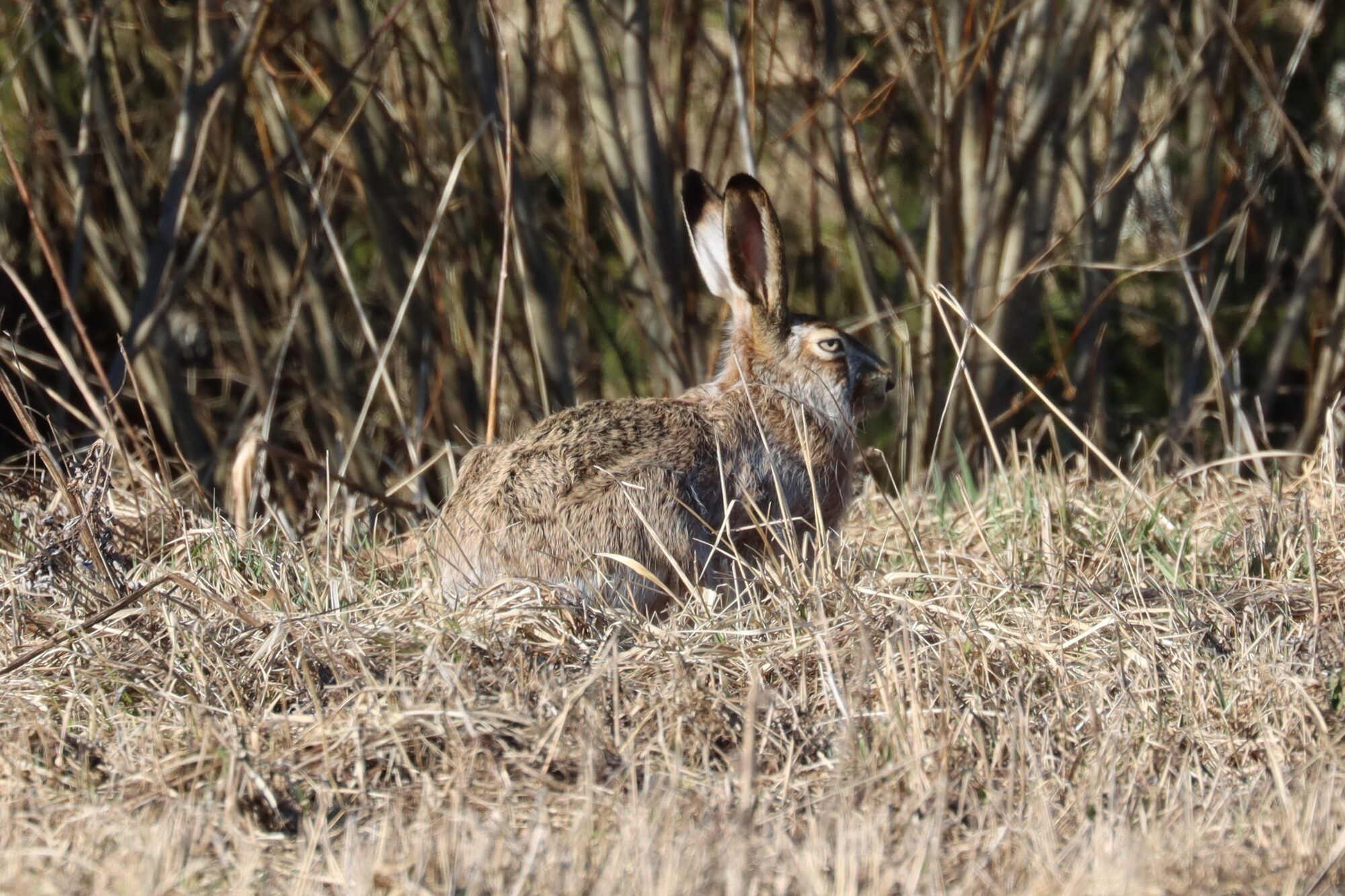 Valokuvaaja: Susanna Hannula Valokuvaaja: Susanna Hannula