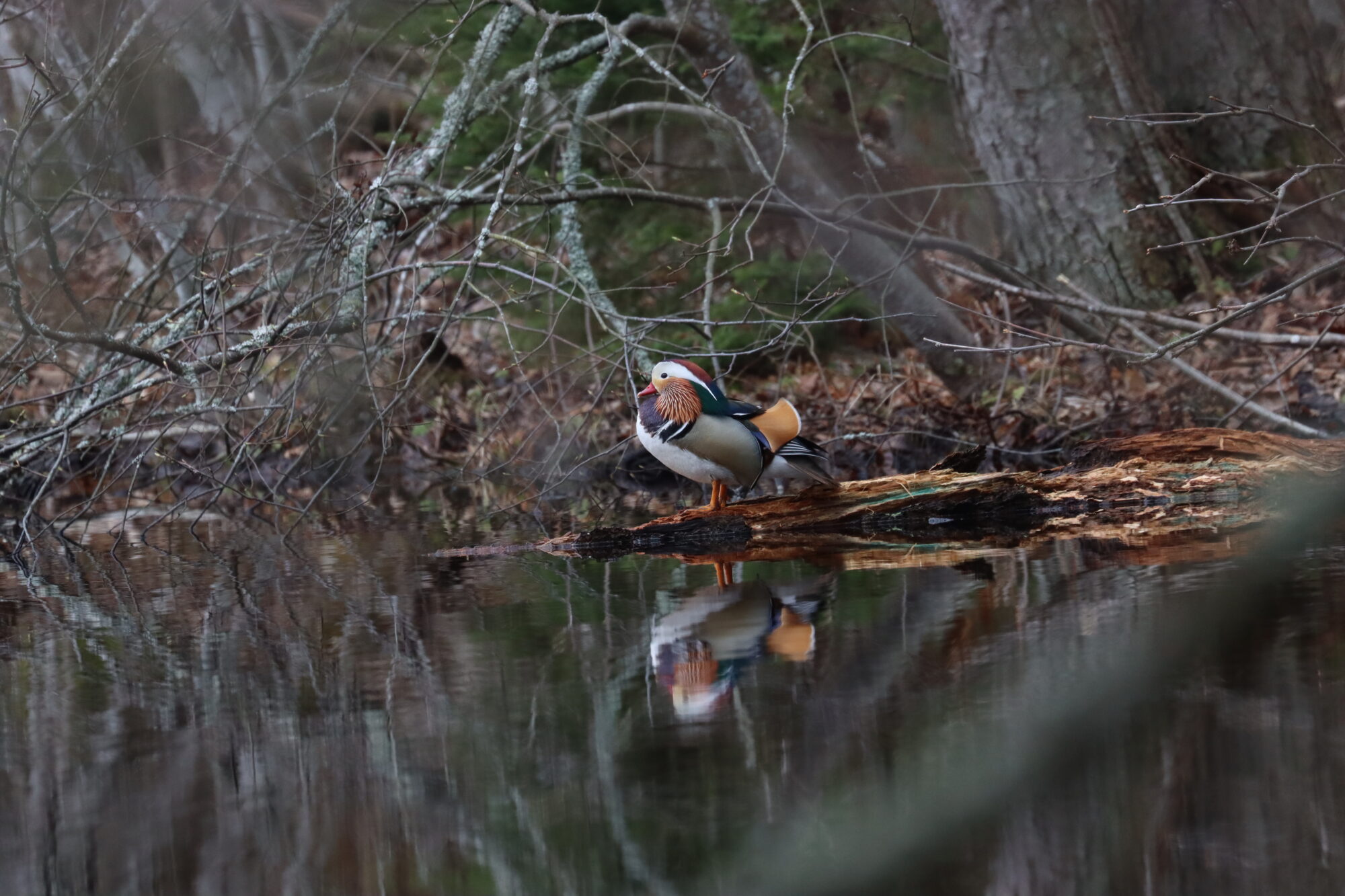 Valokuvaaja: Susanna Hannula