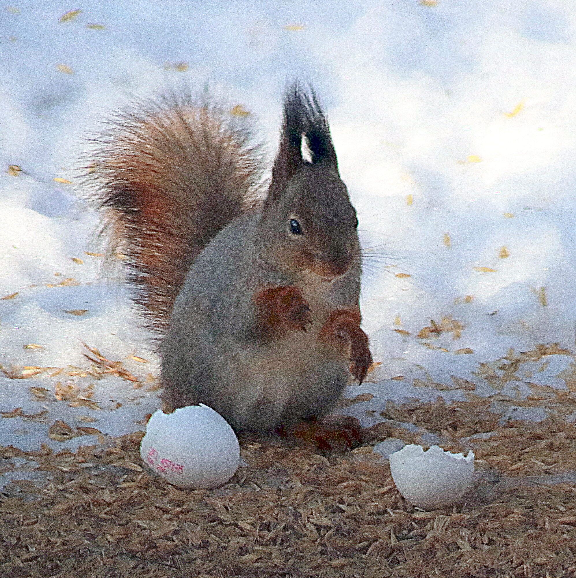 Valokuvaaja: Hannu Rasiranta