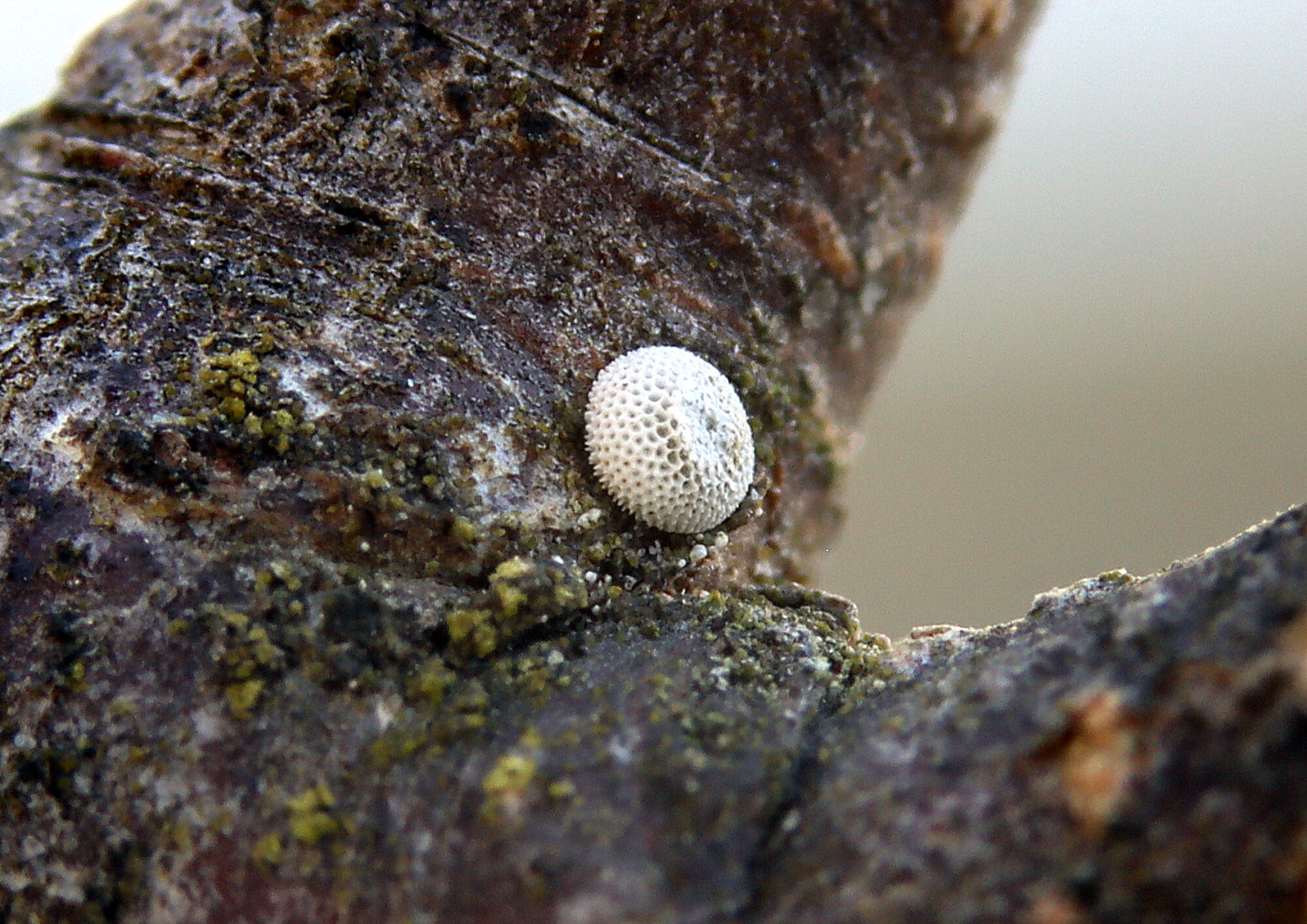 Valokuvaaja: Hannu Rasiranta