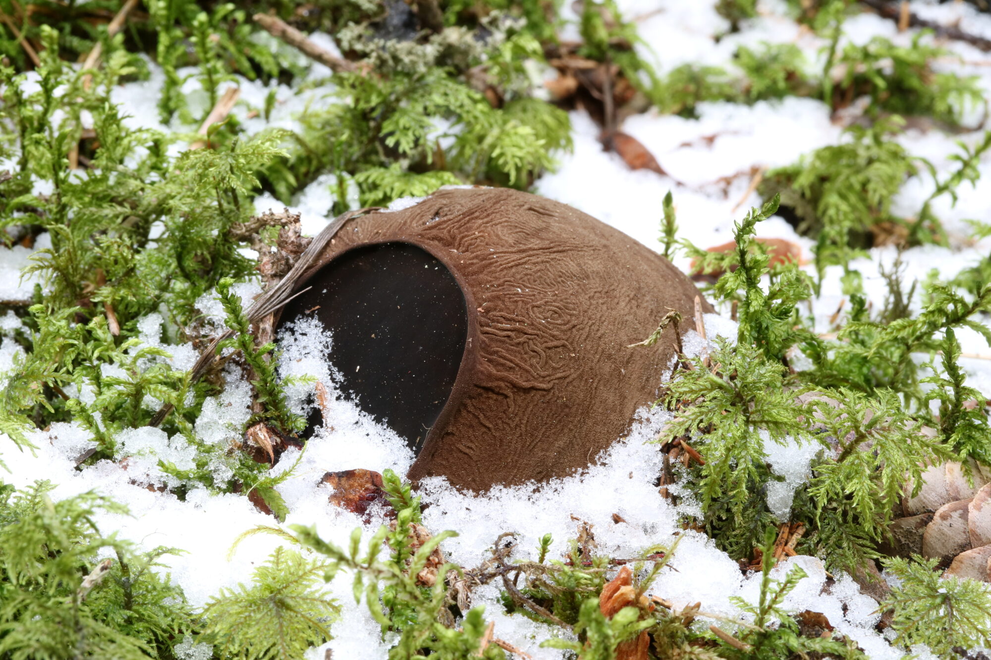 Valokuvaaja: Hannu Rasiranta