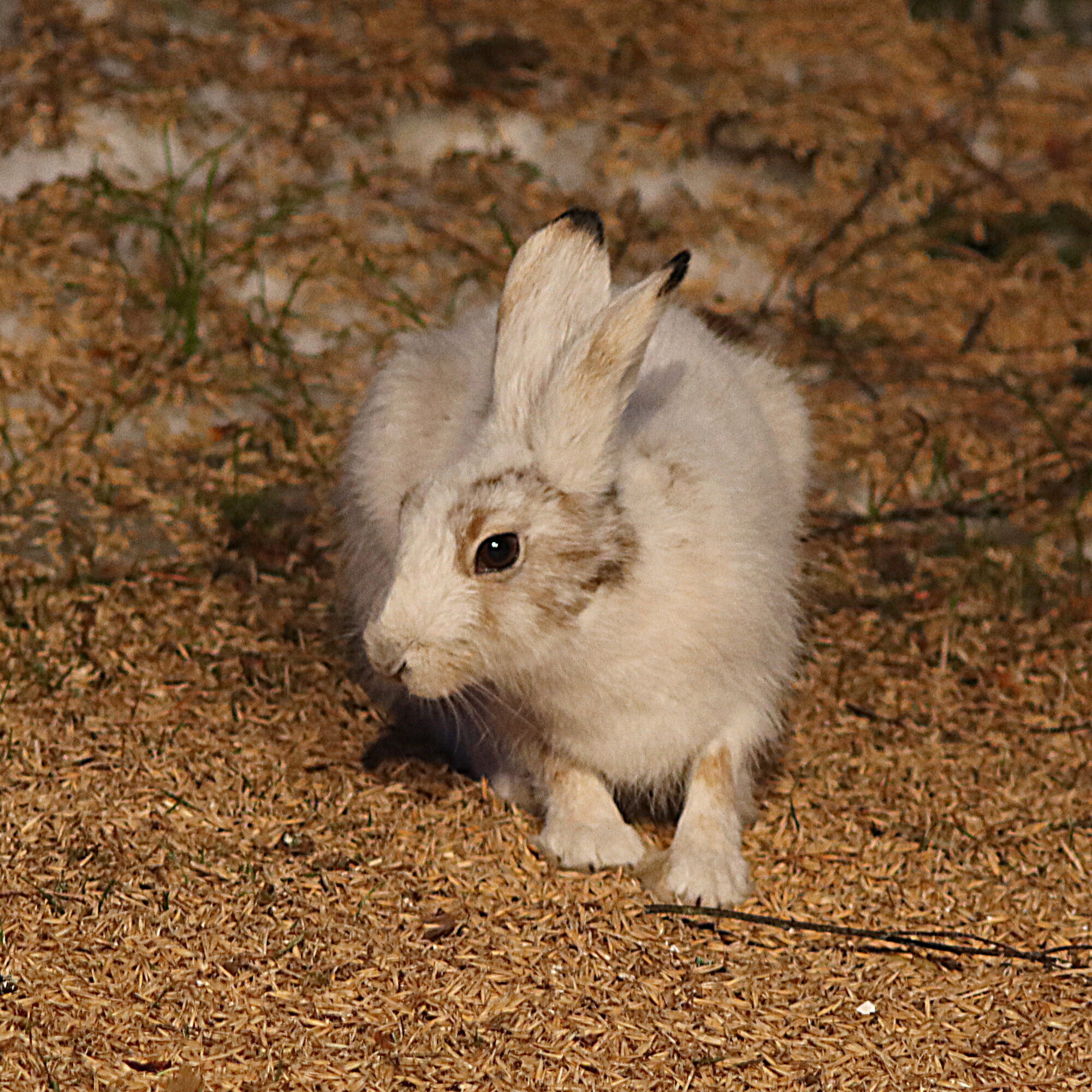 Valokuvaaja: Hannu Rasiranta