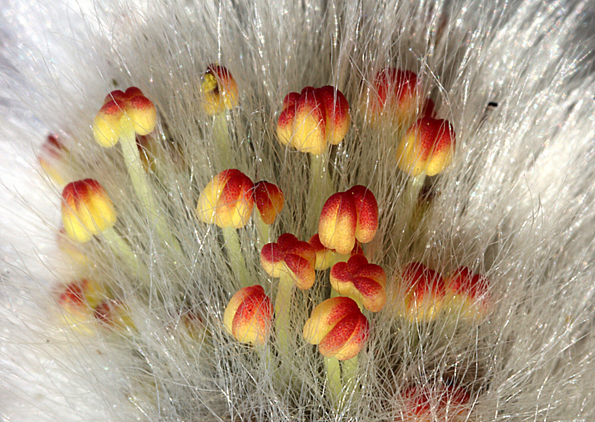 Valokuvaaja: Hannu Rasiranta