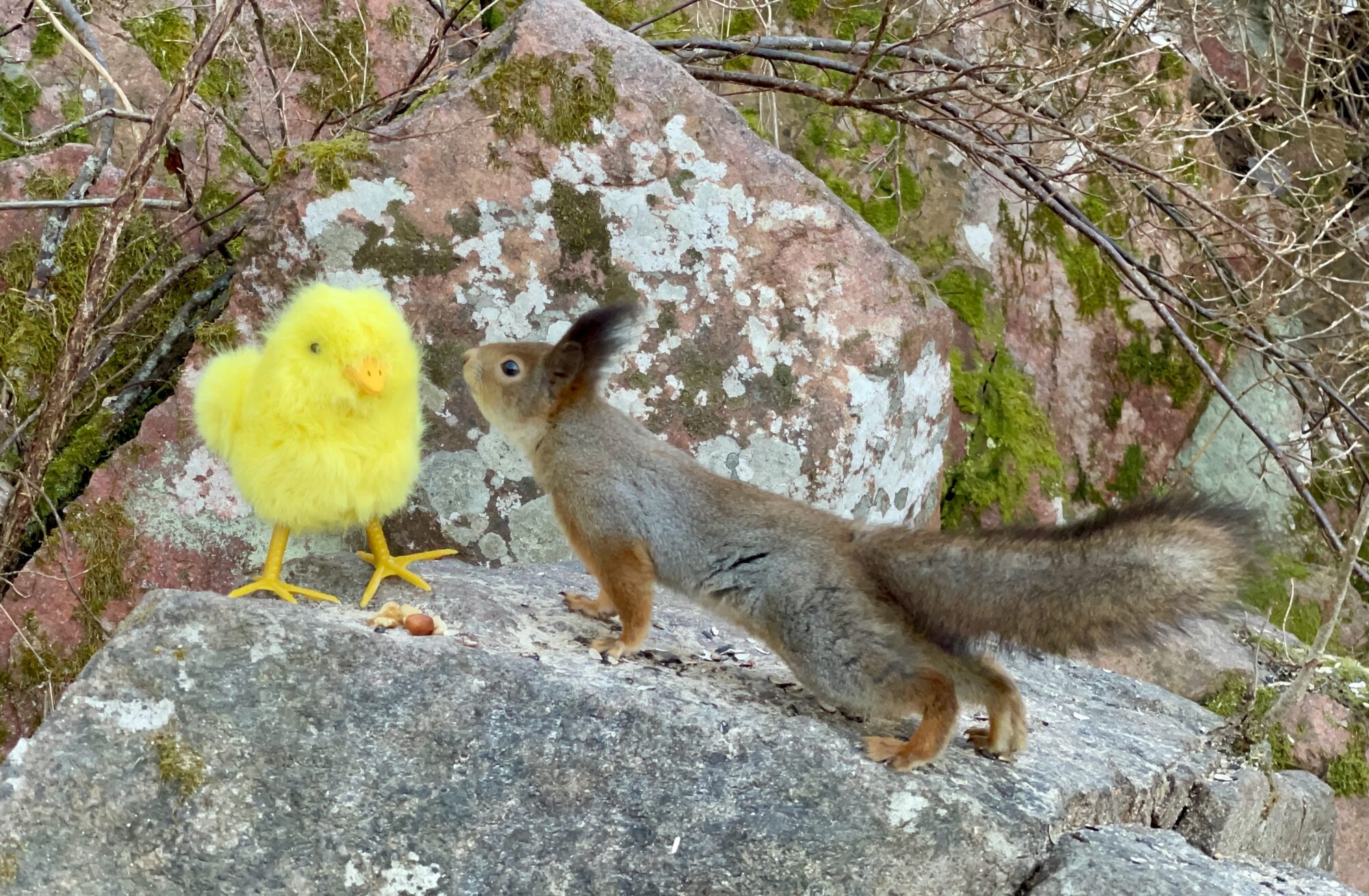 Valokuvaaja: Juhani Peltonen