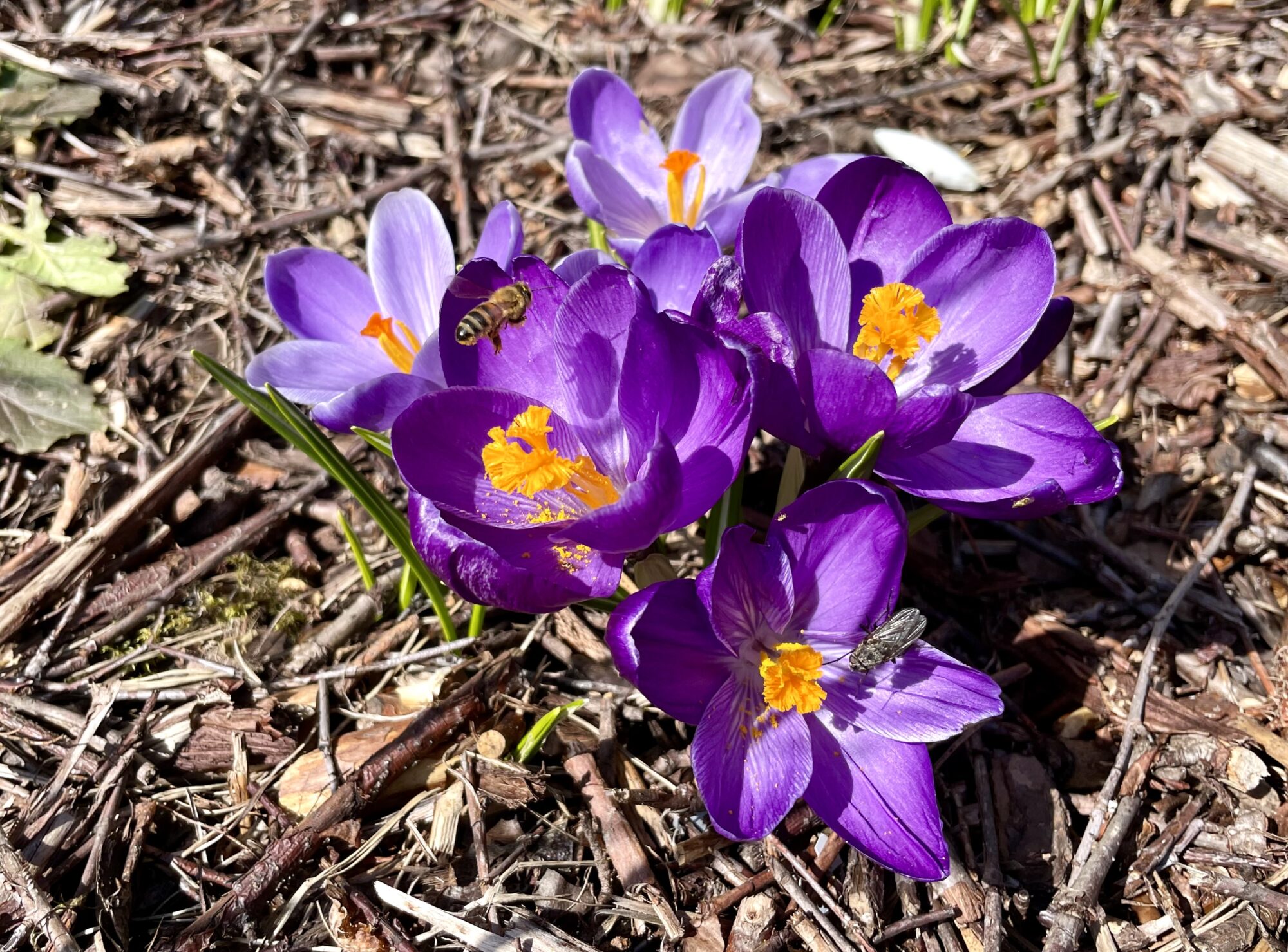 Valokuvaaja: Juhani Peltonen