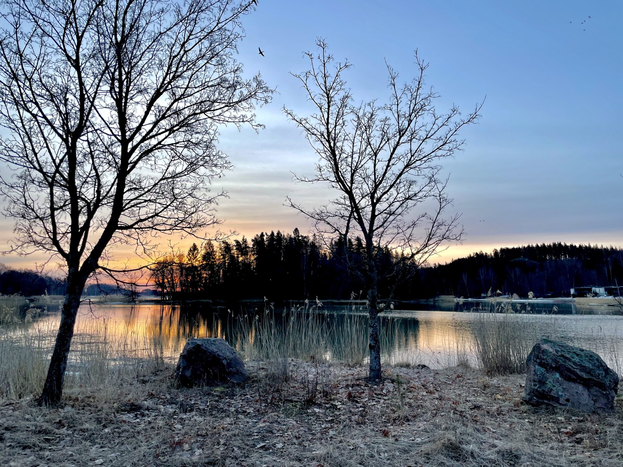 Valokuvaaja: Juhani Peltonen