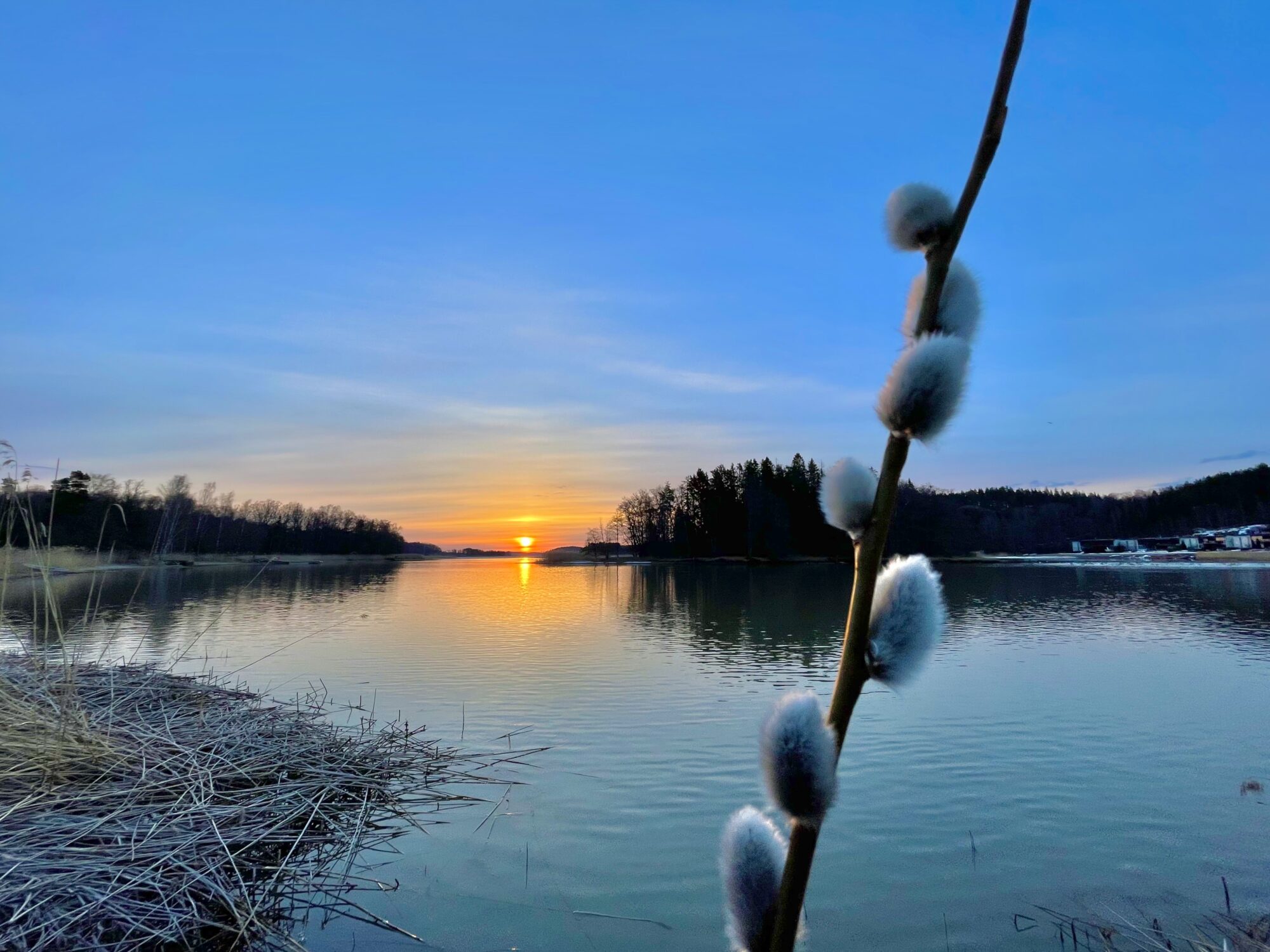 Valokuvaaja: Juhani Peltonen