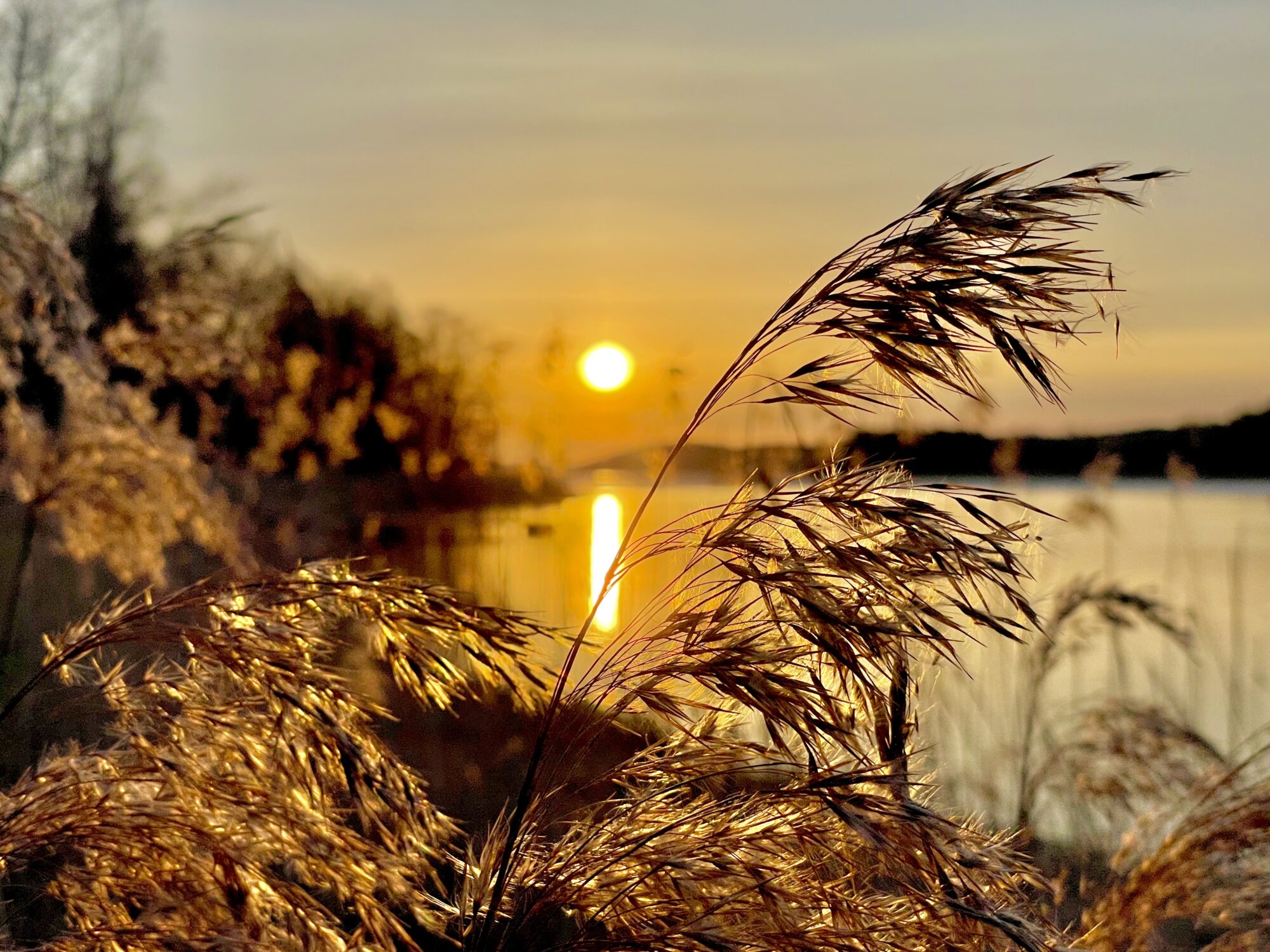 Valokuvaaja: Juhani.peltonen@icloud.com