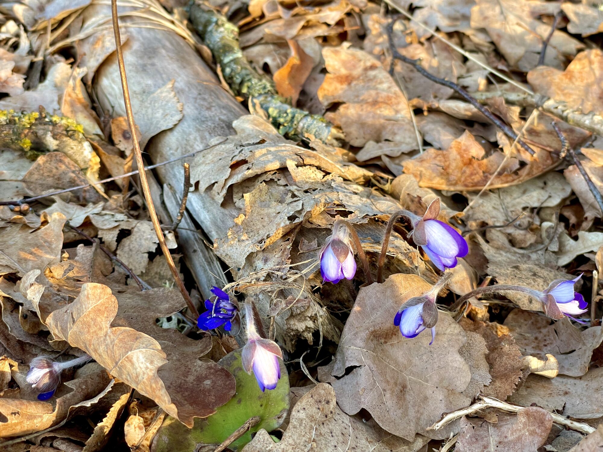 Valokuvaaja: Juhani Peltonen