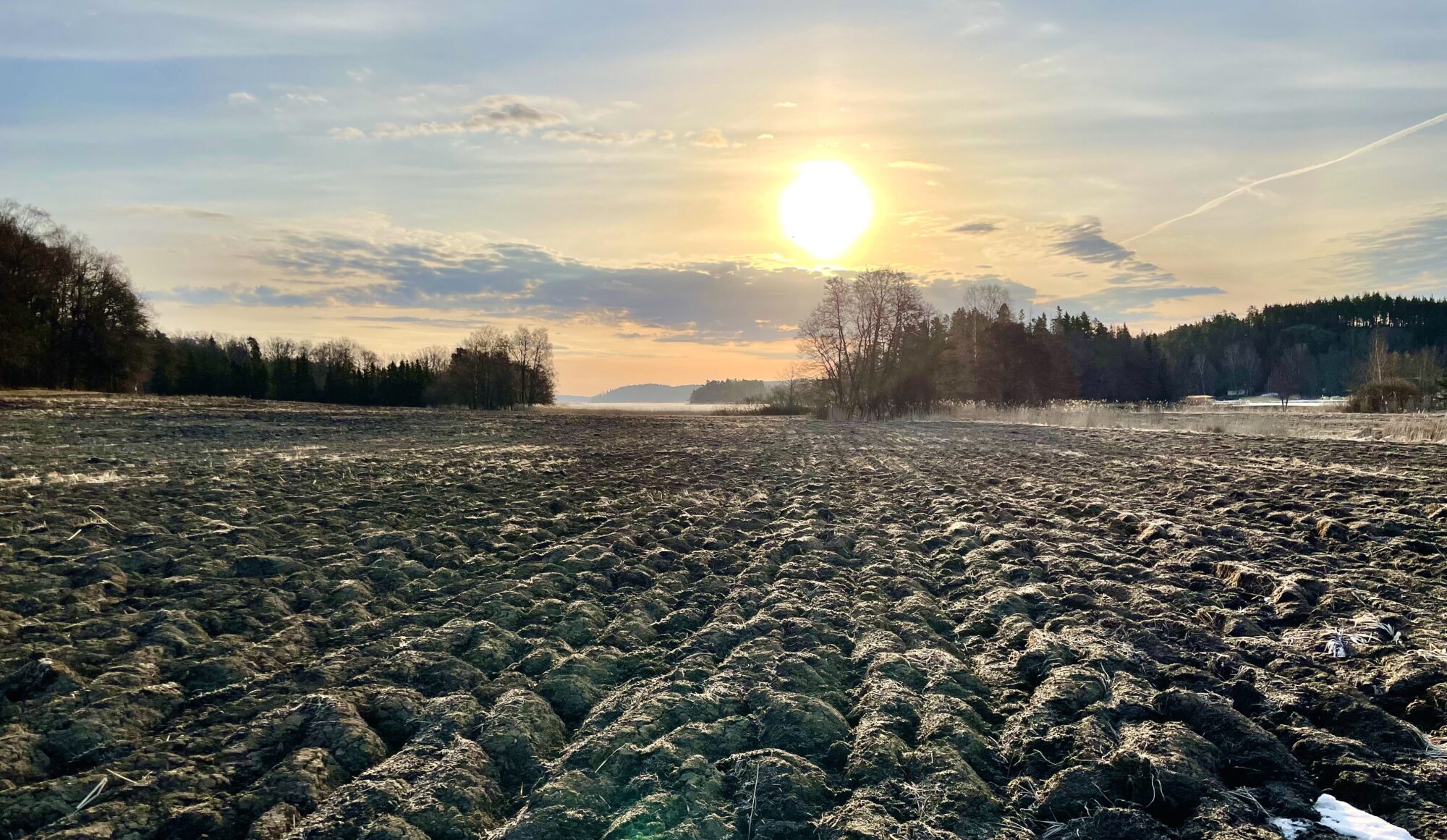 Valokuvaaja: Juhani Peltonen