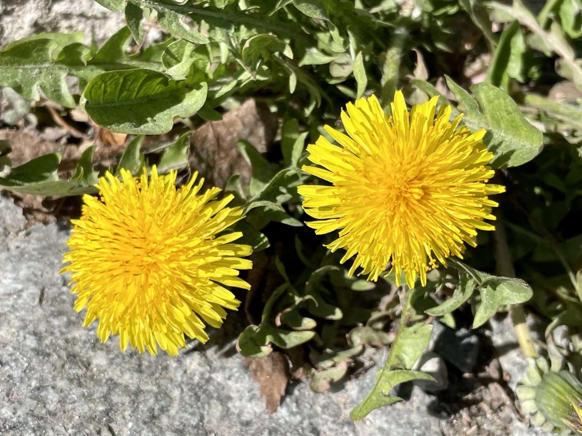 Valokuvaaja: Juhani Peltonen