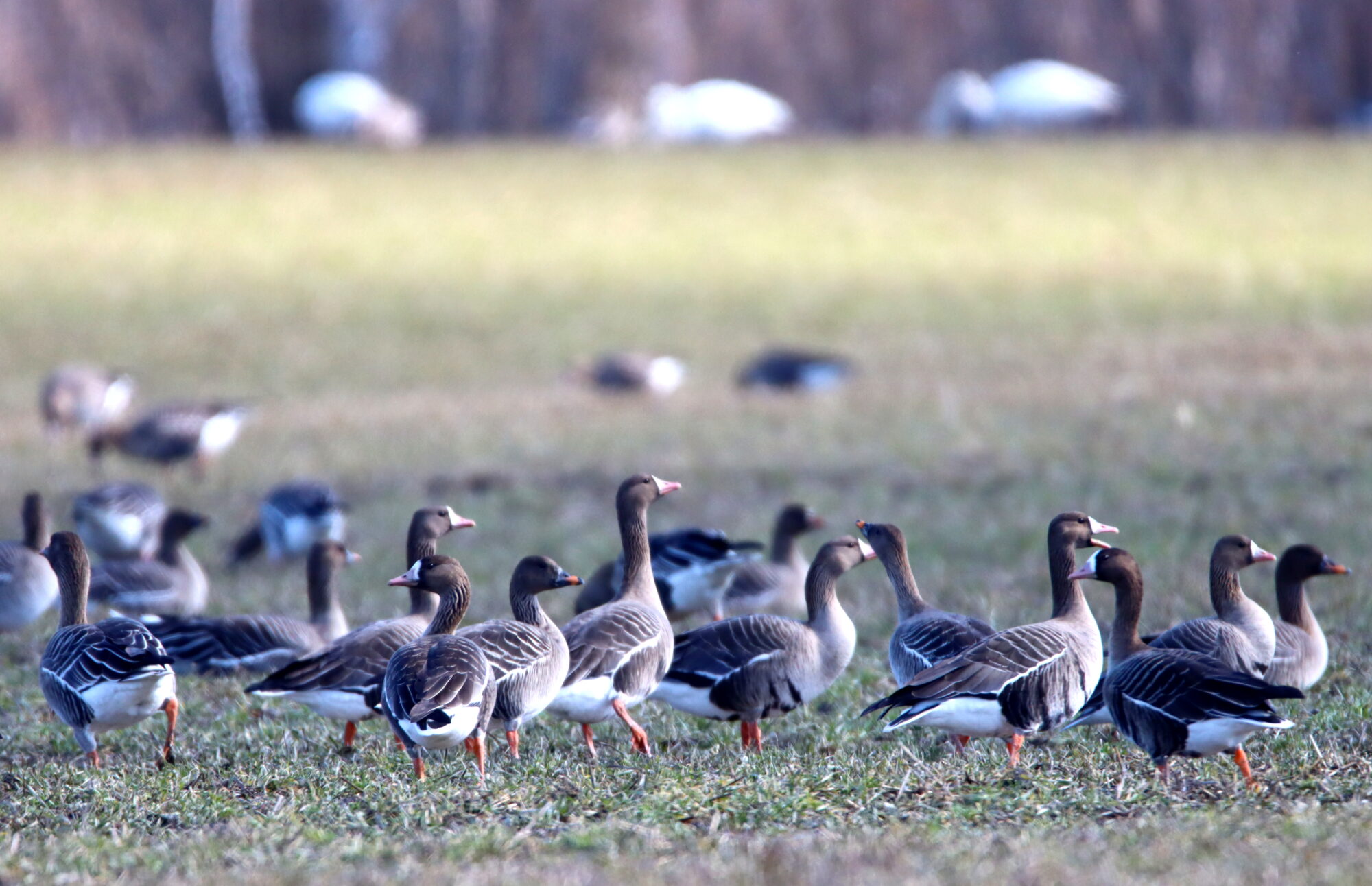 Valokuvaaja: Irja Lehtinen