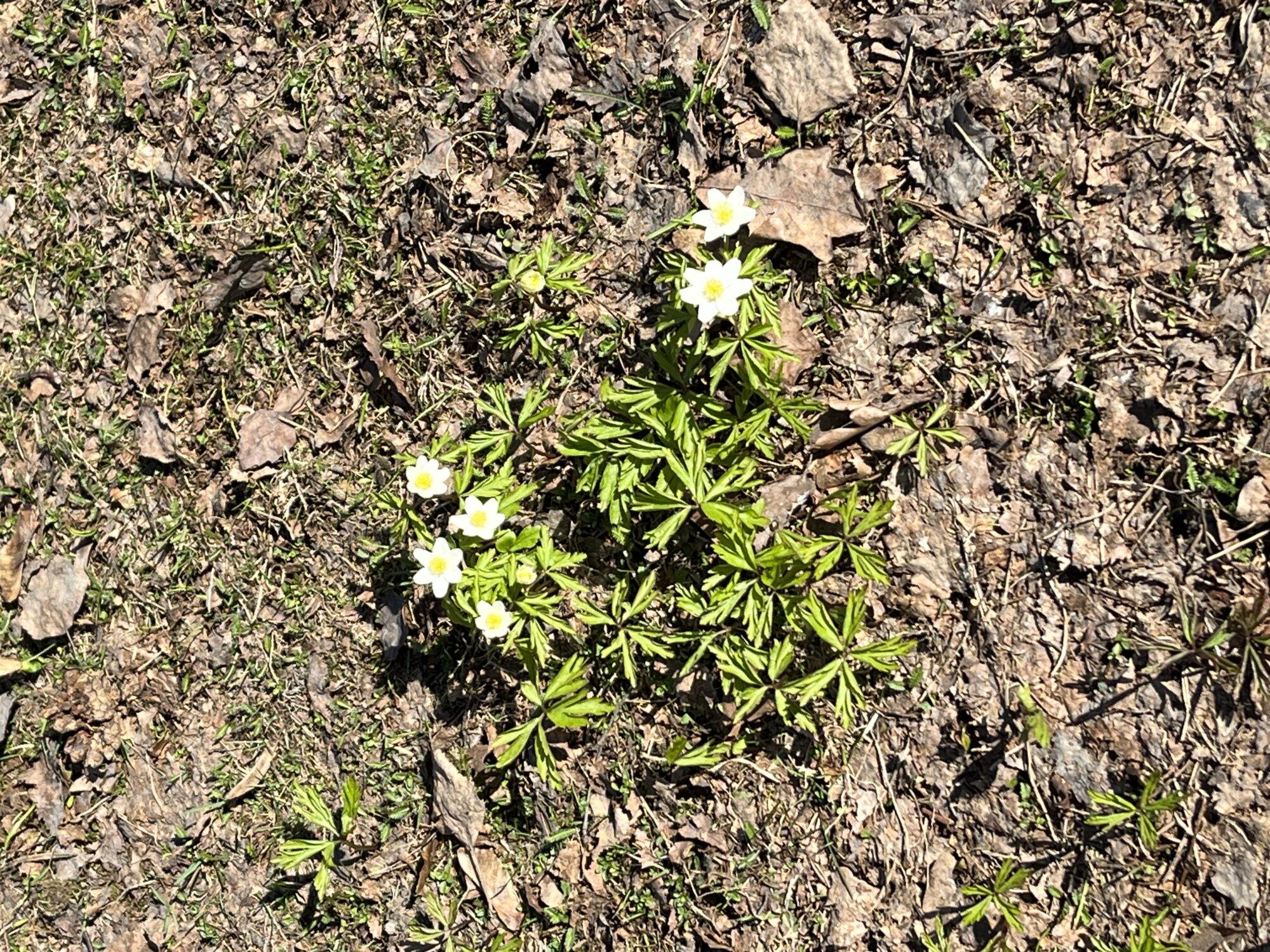 Valokuvaaja: Minna Pelenius