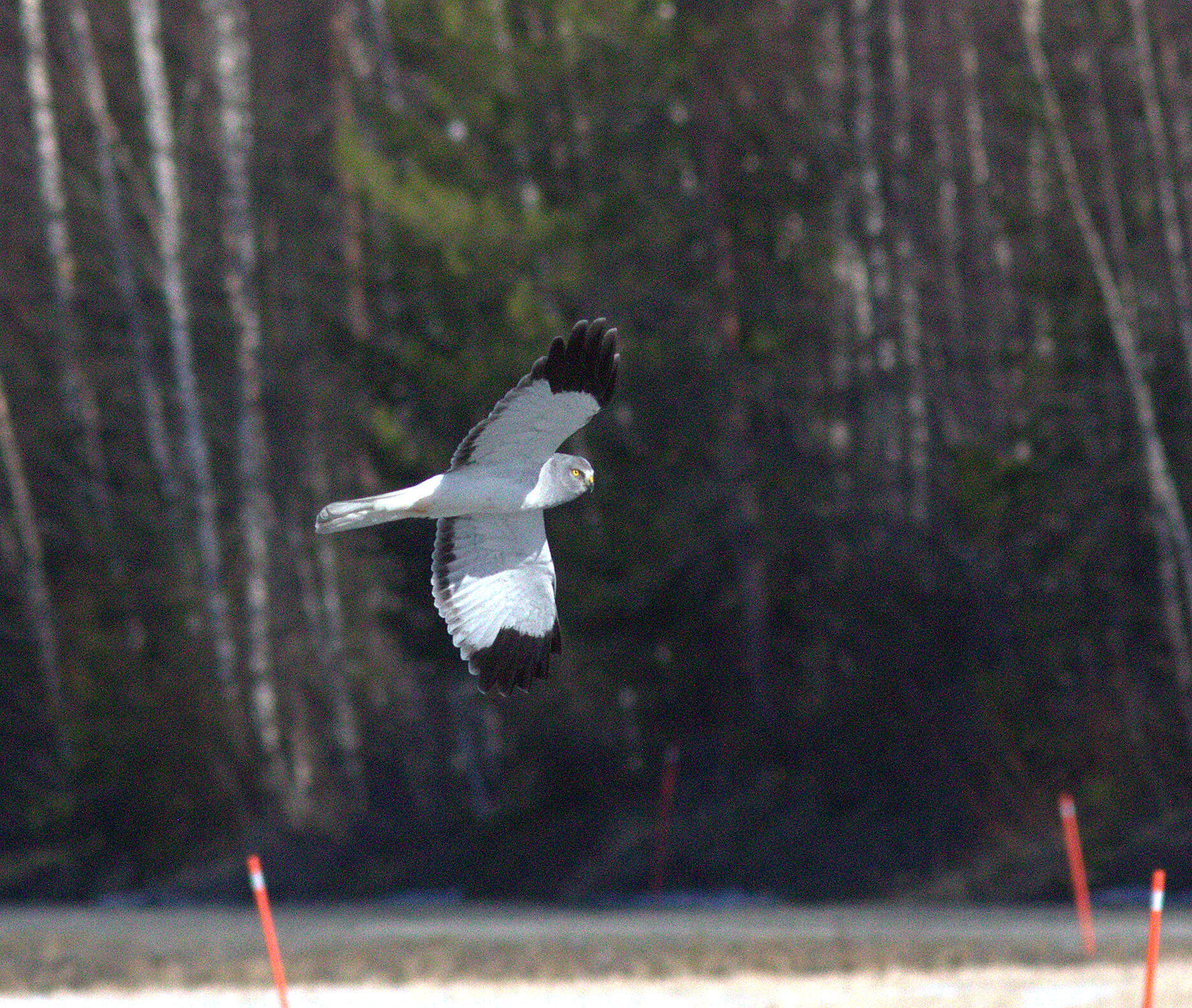Valokuvaaja: Tapio Keinonen