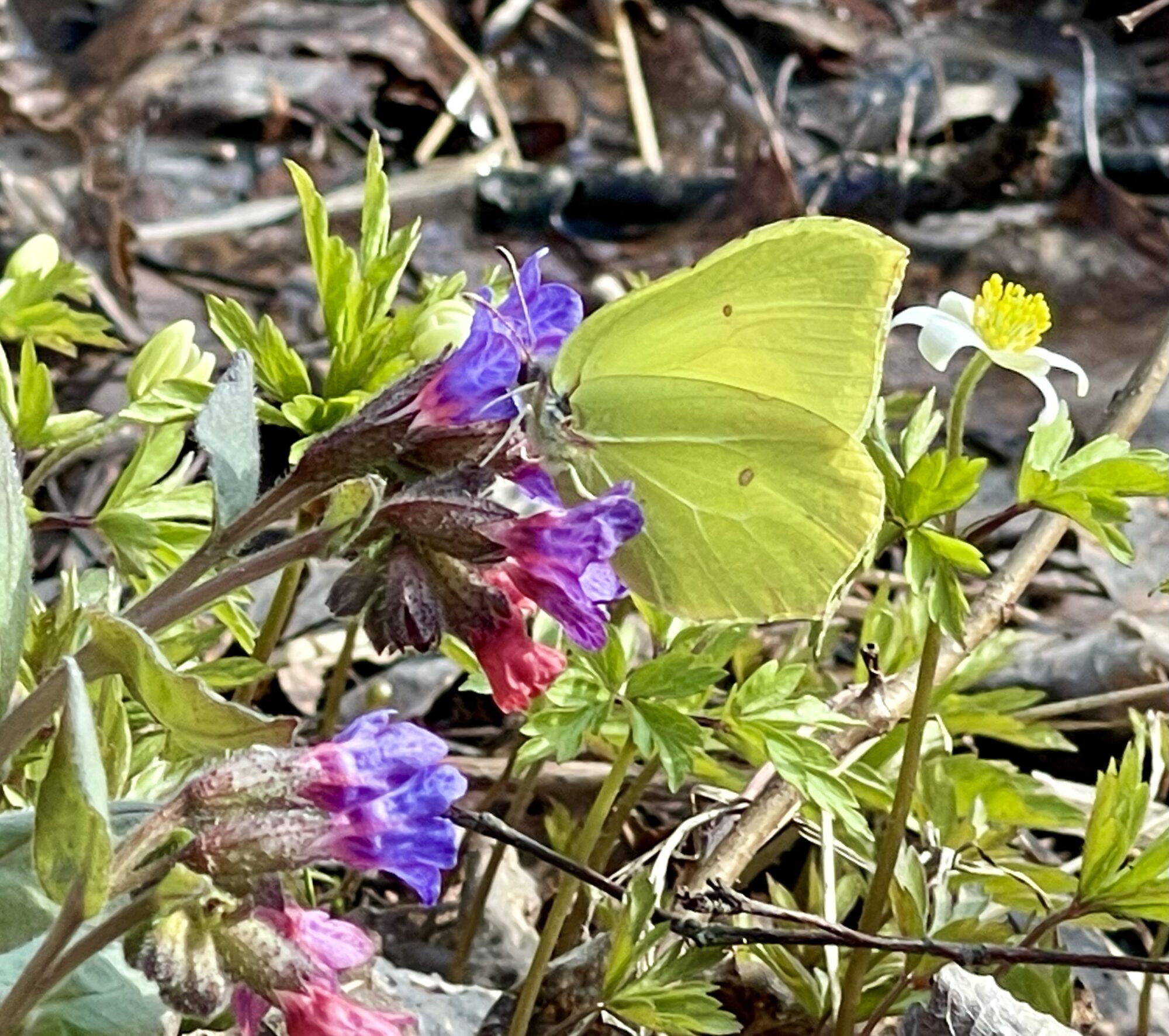 Valokuvaaja: Liisa Niiva-Korpela