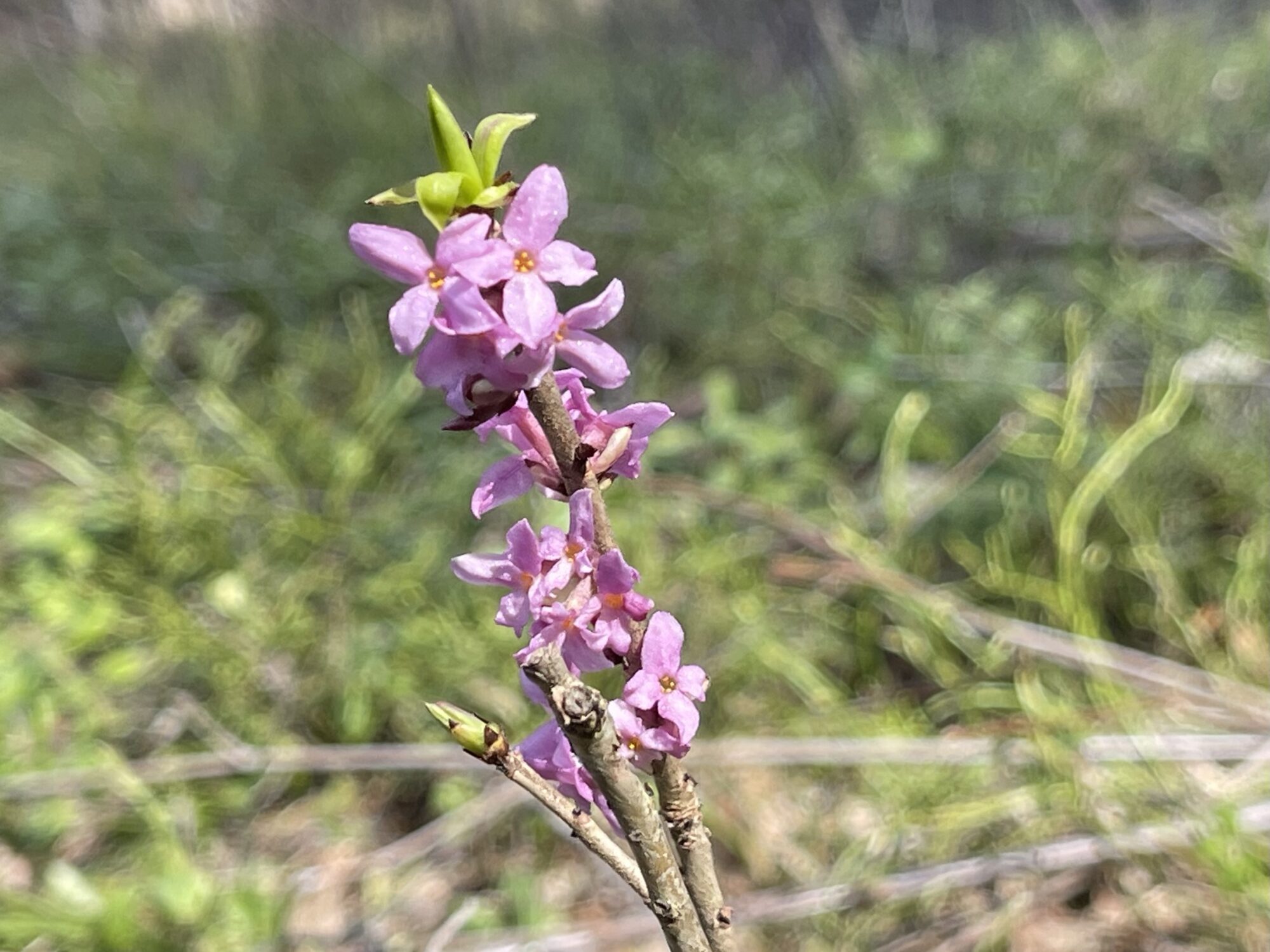 Valokuvaaja: Liisa Niiva-Korpela