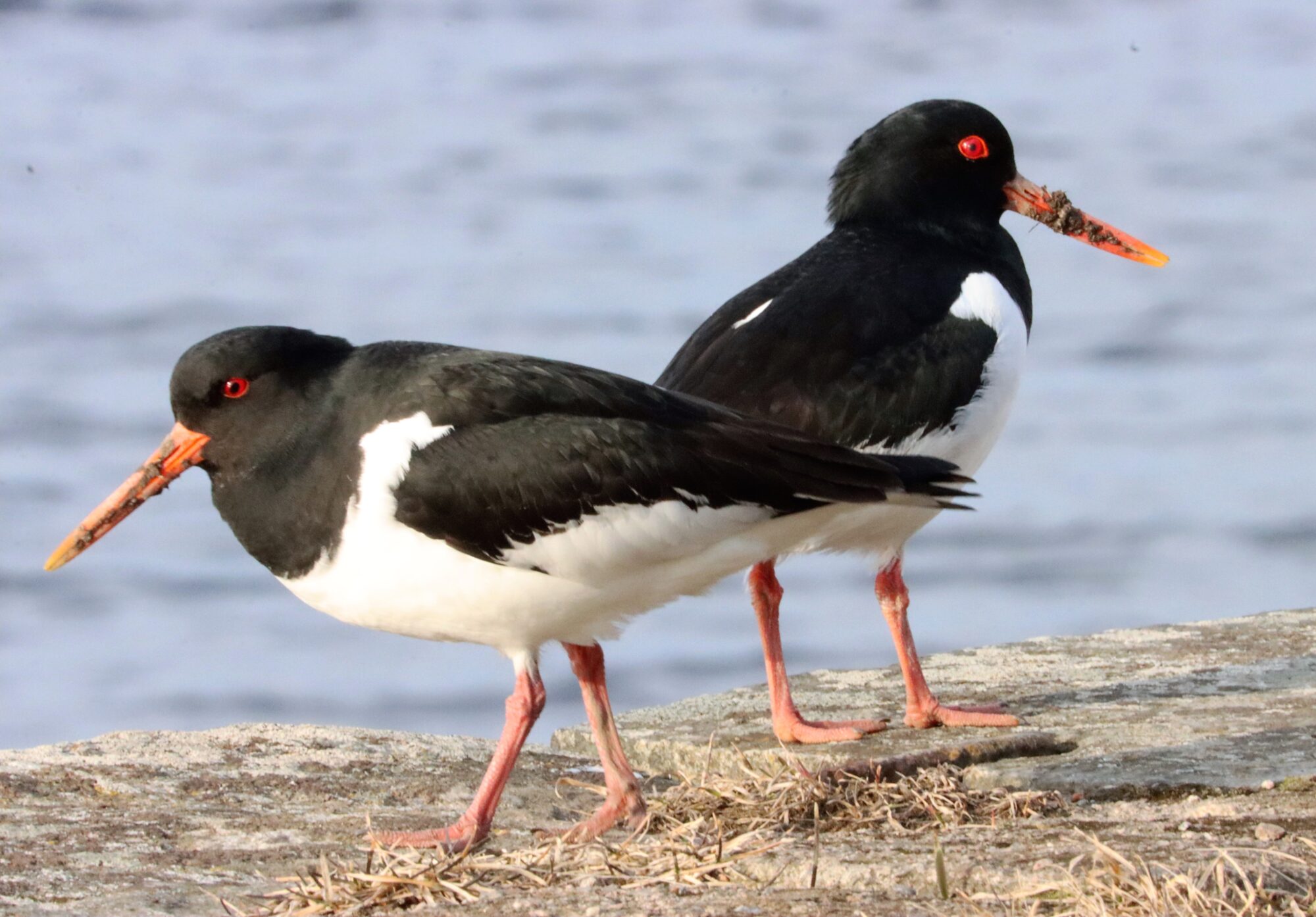 Valokuvaaja: Irja Lehtinen