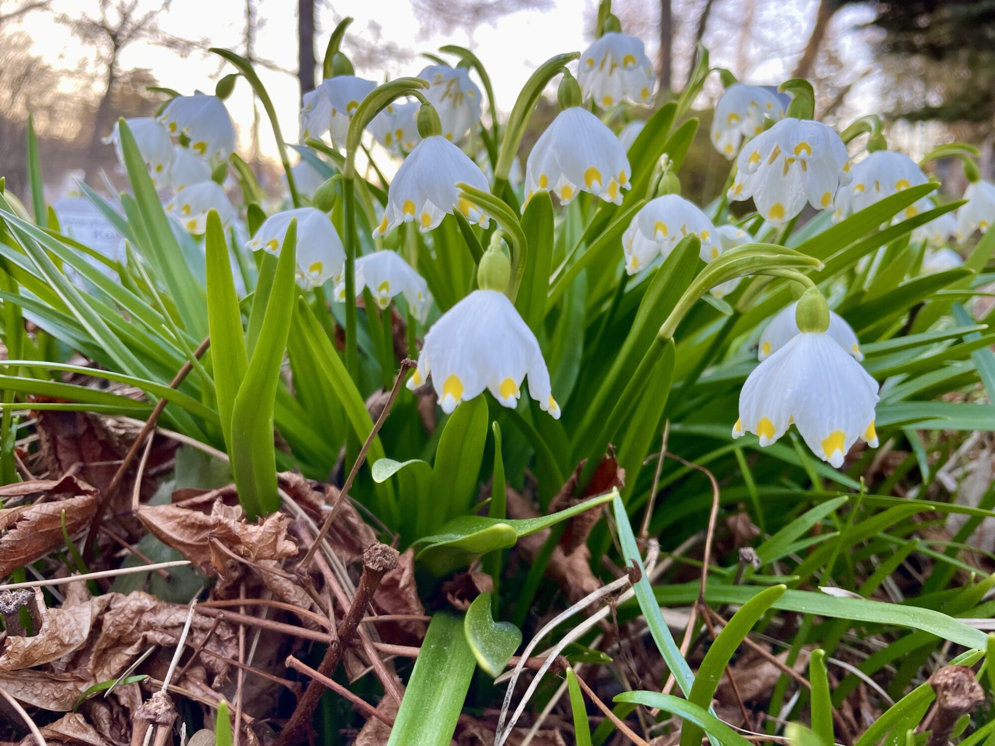 Valokuvaaja: Juhani Peltonen