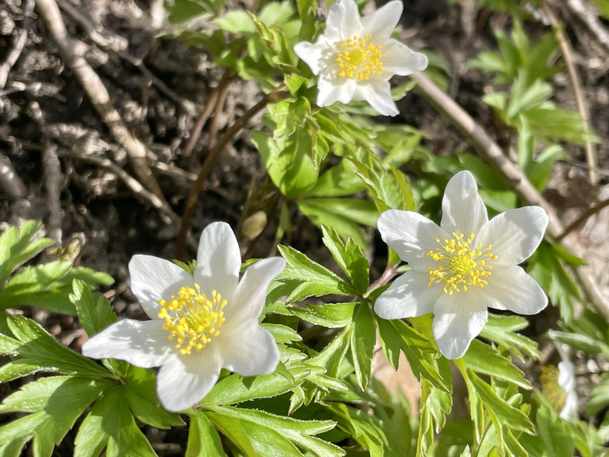 Valokuvaaja: Juhani Peltonen