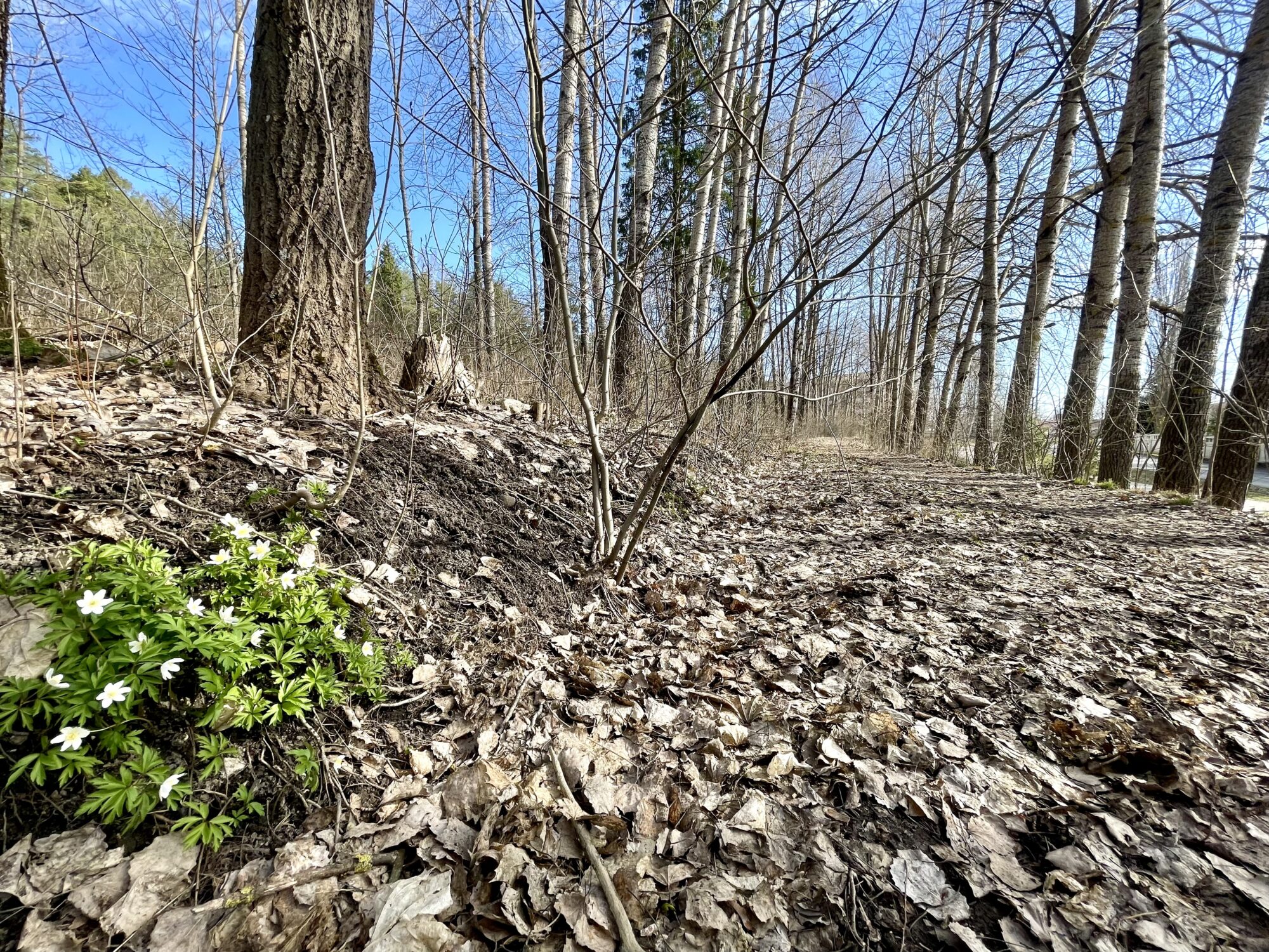 Valokuvaaja: Juhani Peltonen