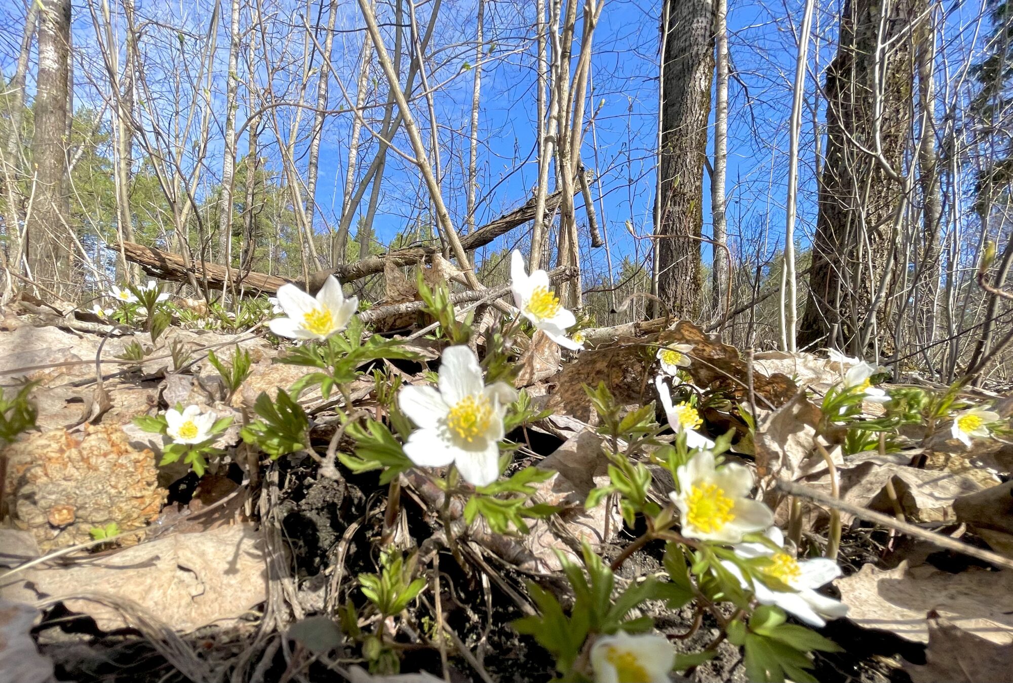 Valokuvaaja: Juhani Peltonen