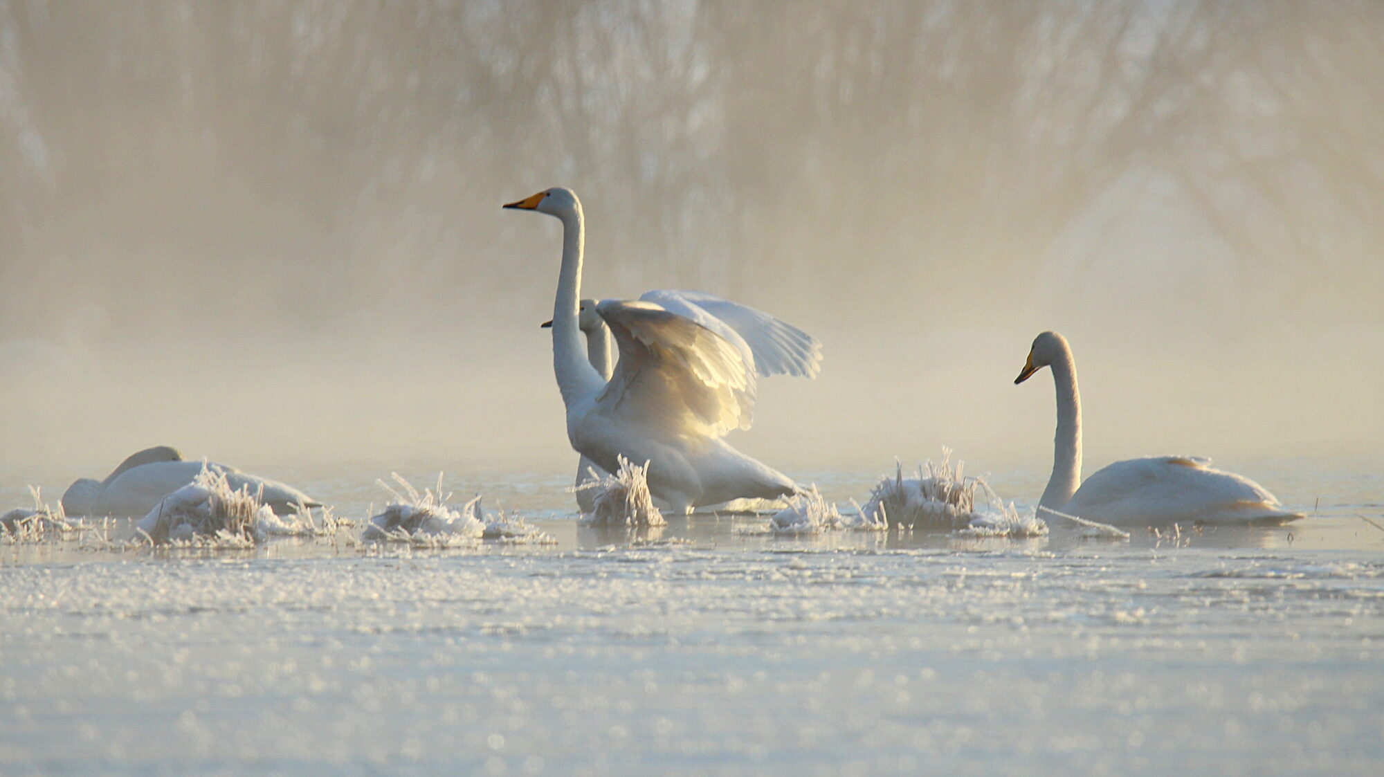 Valokuvaaja: sirpa Jyske