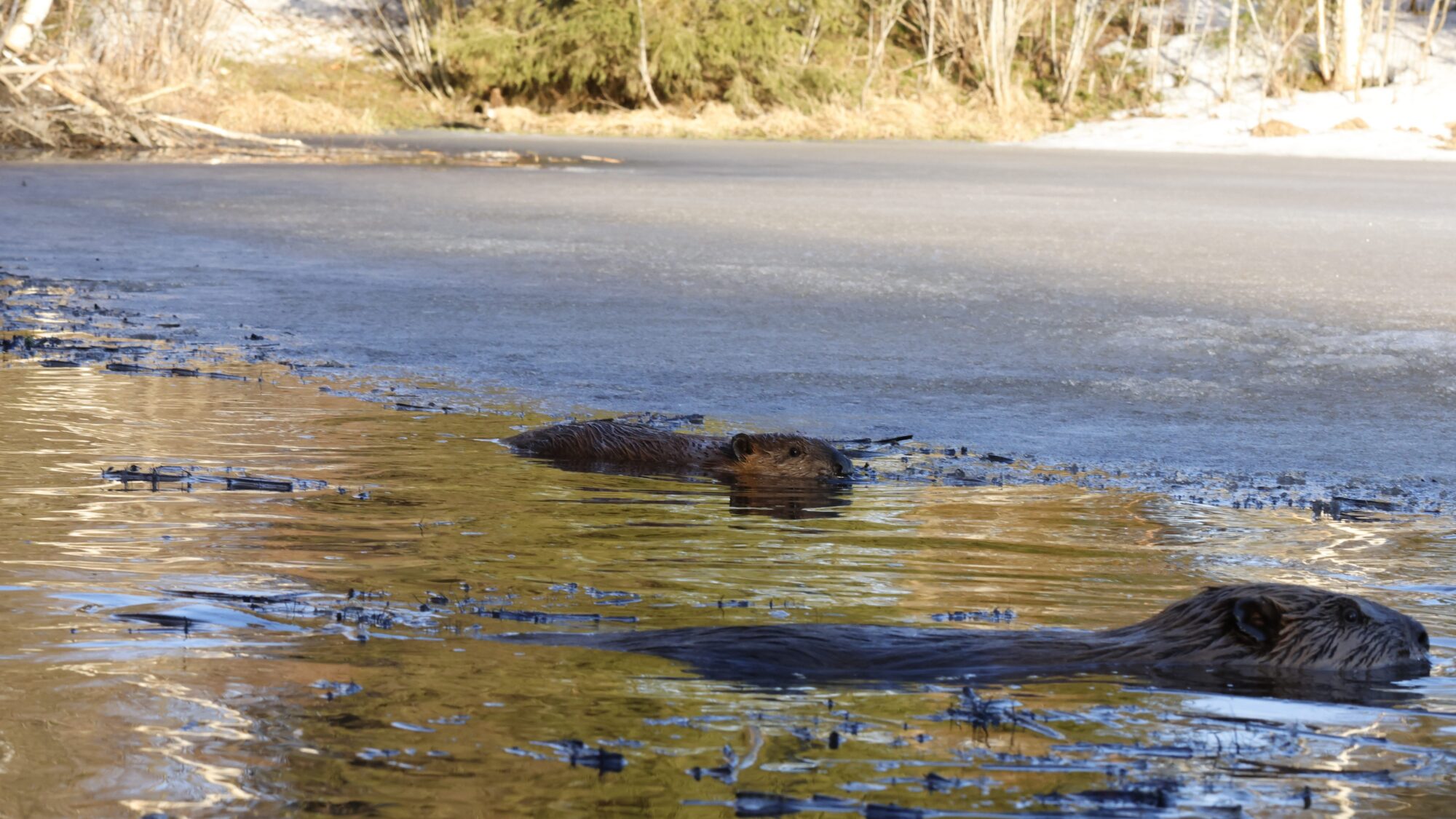 Valokuvaaja: TOMMI KUJALA