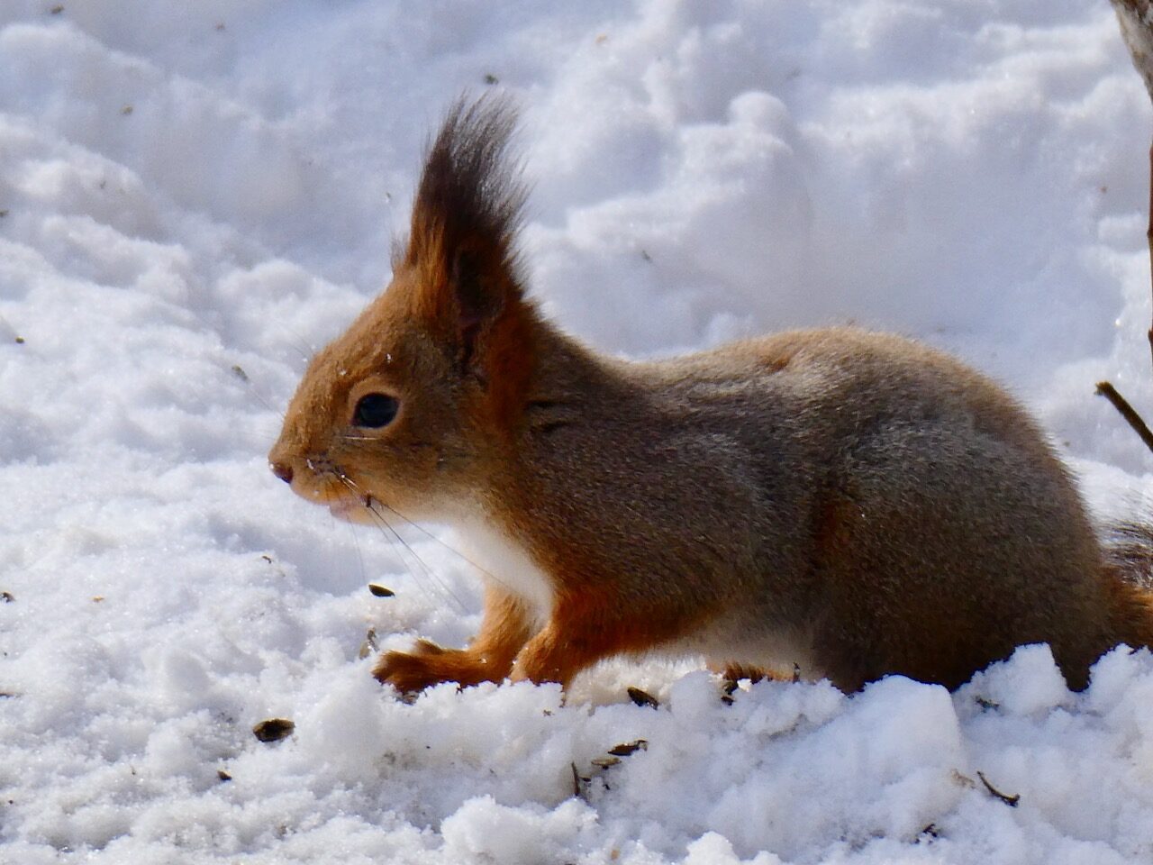 Valokuvaaja: Liisa Niiva-Korpela