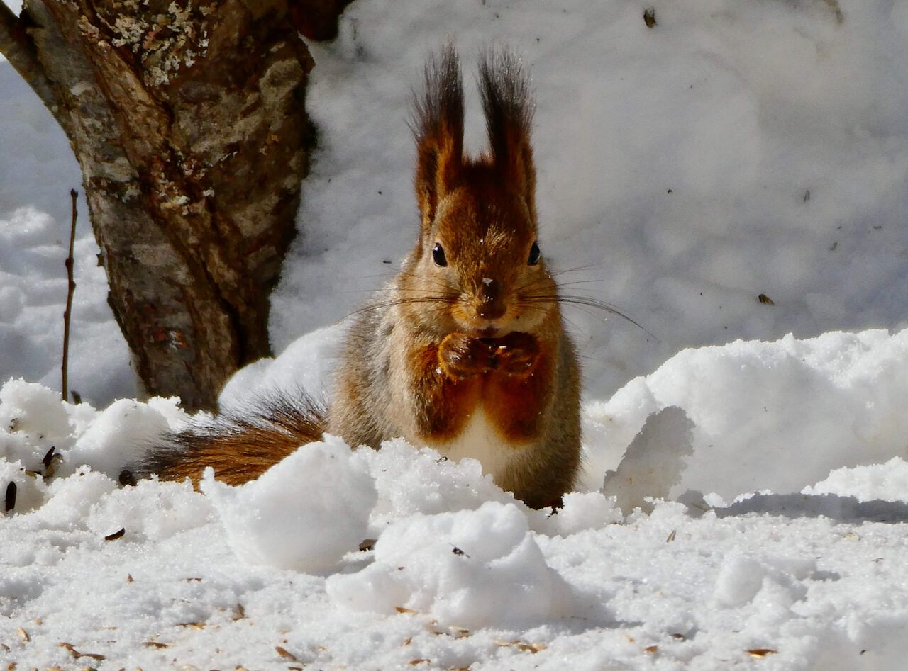 Valokuvaaja: Liisa Niiva-Korpela