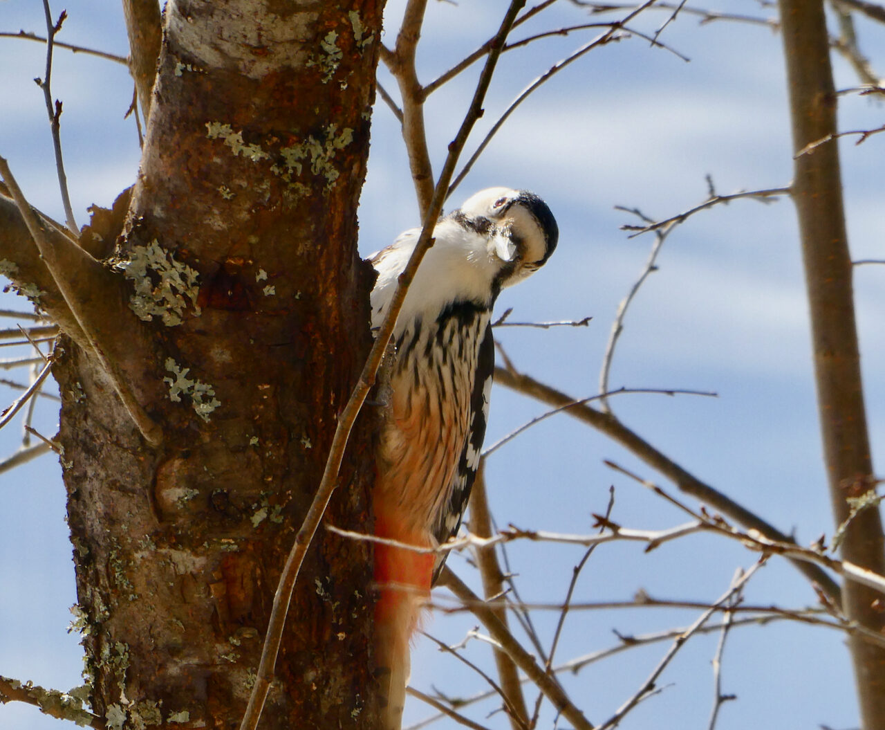 Valokuvaaja: Liisa Niiva-Korpela