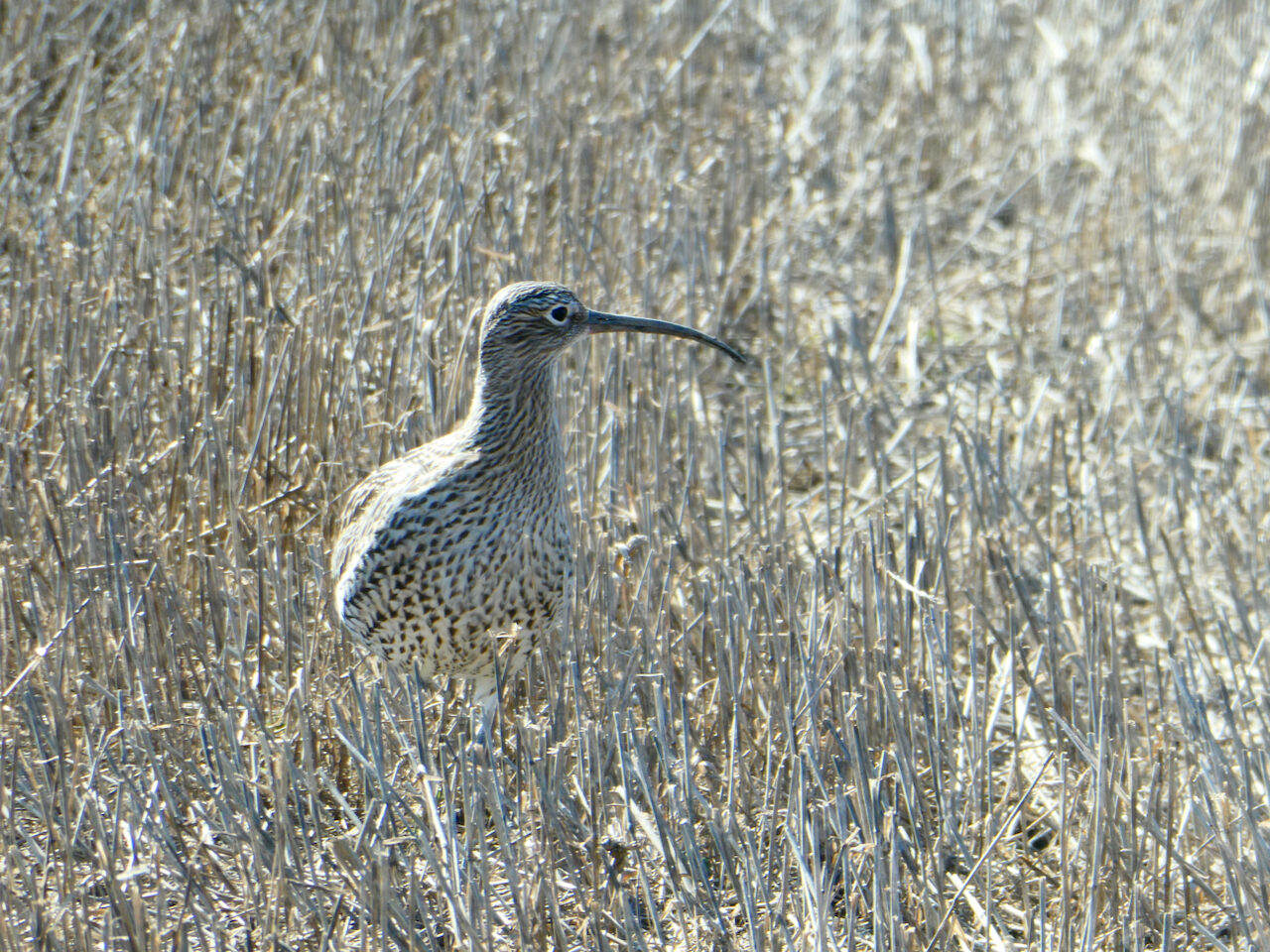 Valokuvaaja: Liisa Niiva-Korpela