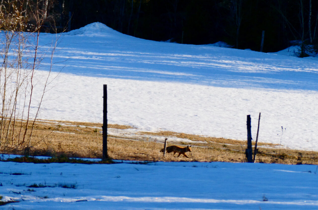 Valokuvaaja: Liisa Niiva-Korpela