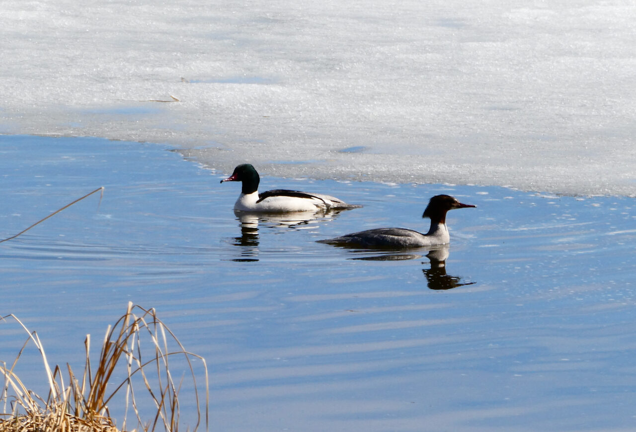 Valokuvaaja: Liisa Niiva-Korpela