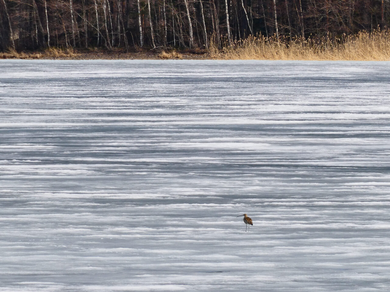 Valokuvaaja: Liisa Niiva-Korpela
