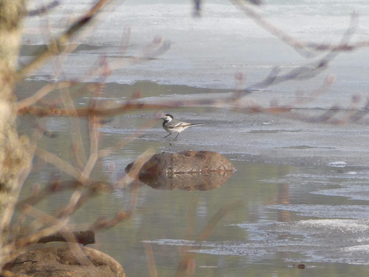 Valokuvaaja: Liisa Niiva-Korpela Valokuvaaja: Liisa Niiva-Korpela