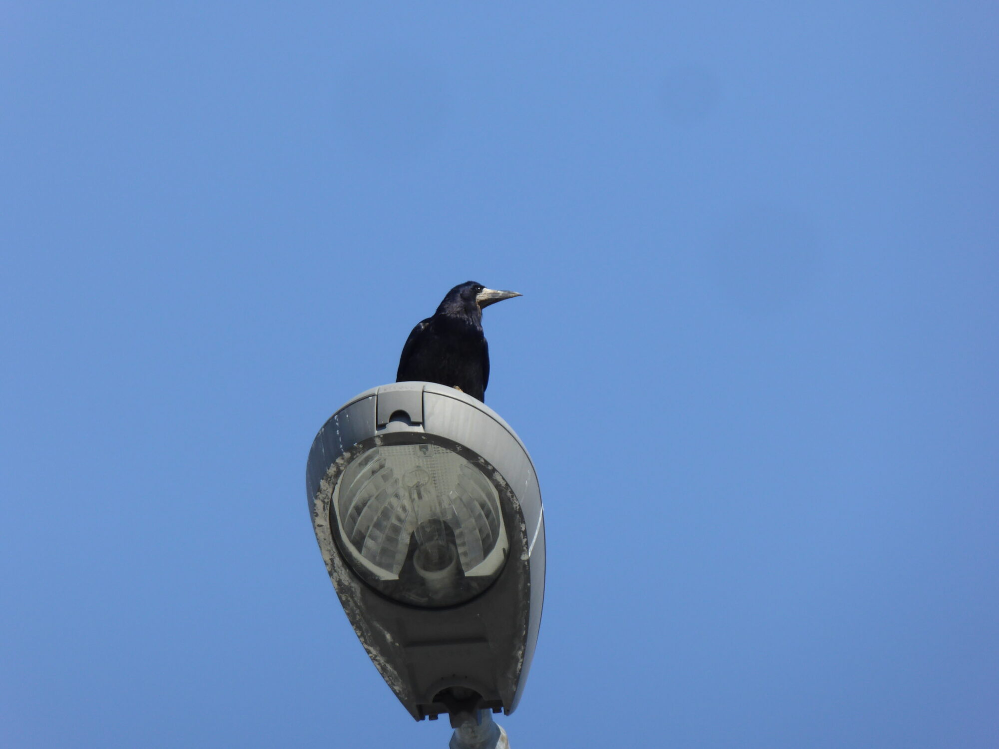 Valokuvaaja: Toni Asikainen Valokuvaaja: Toni Asikainen