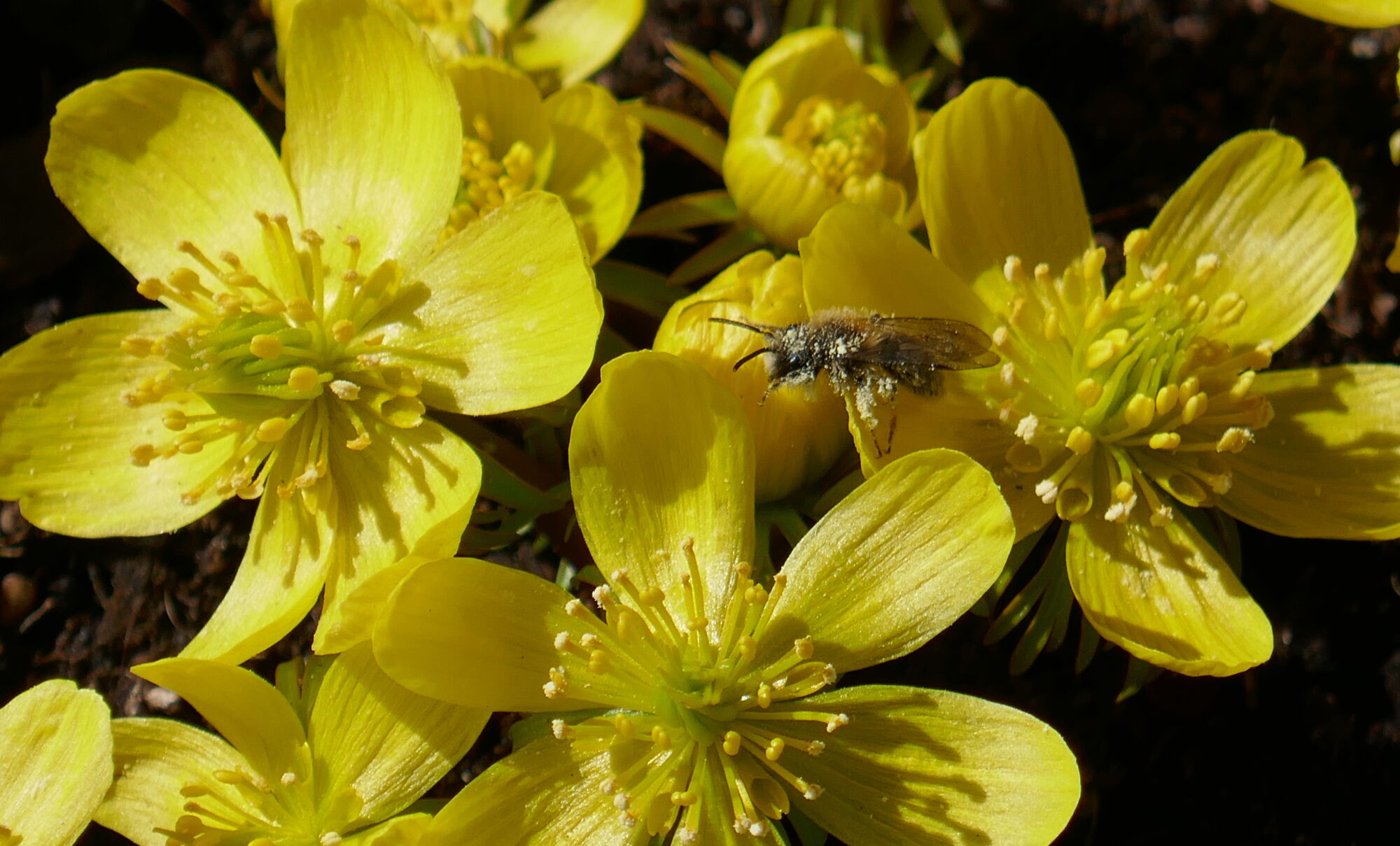 Valokuvaaja: Marjut  Ikonen