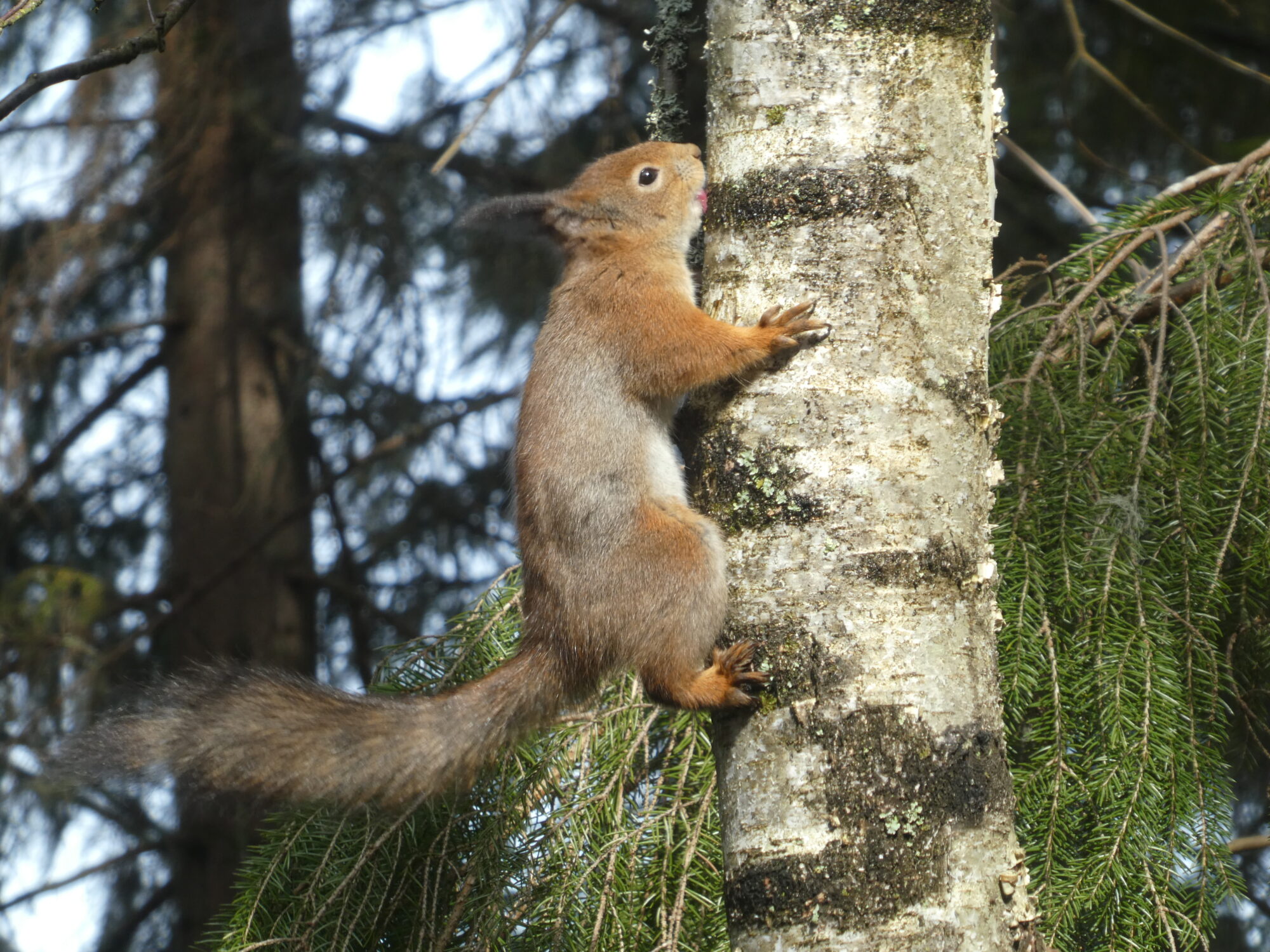 Valokuvaaja: Anja Mustamaa Valokuvaaja: Anja Mustamaa