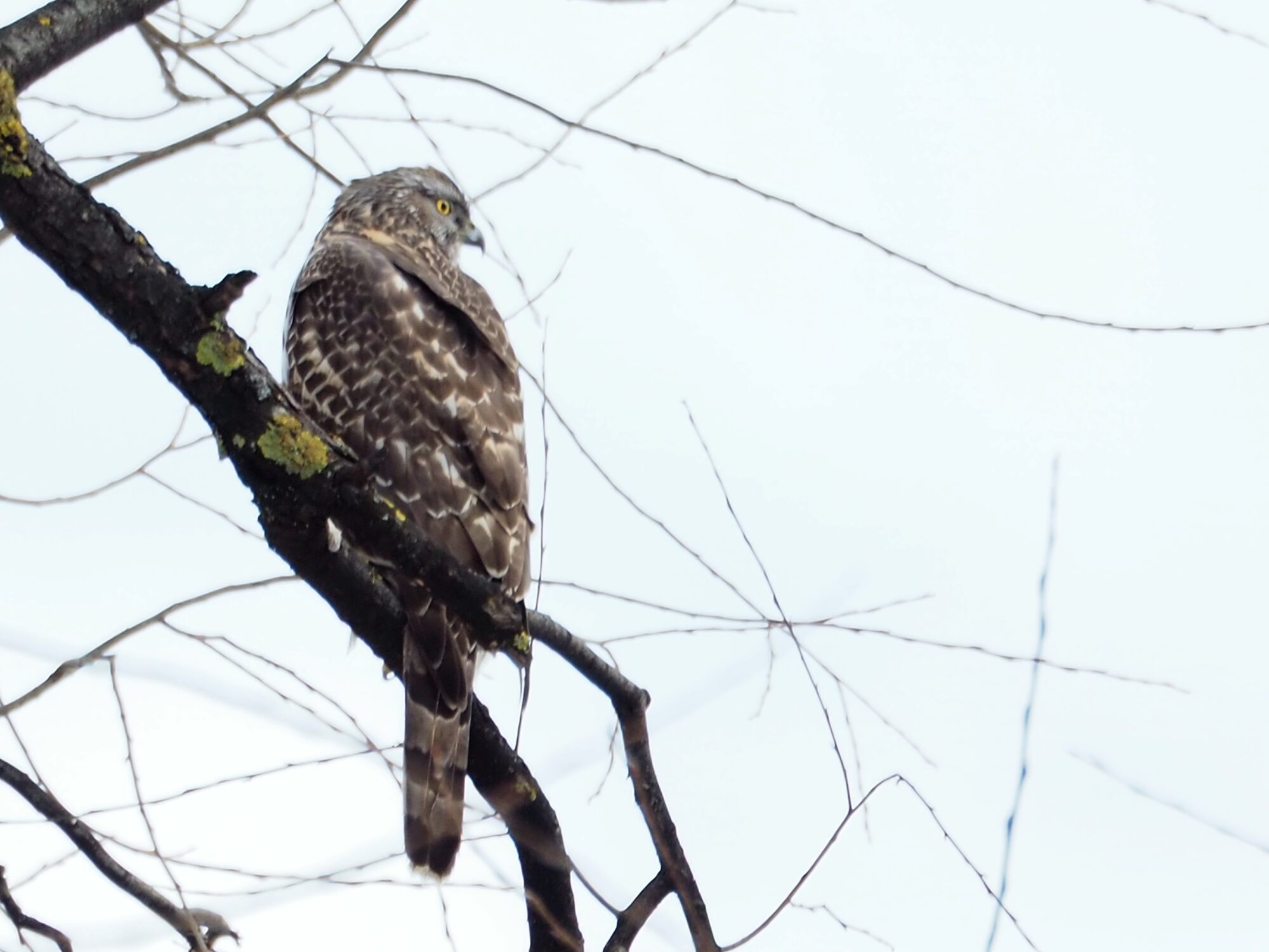 Valokuvaaja: Martti Valtonen