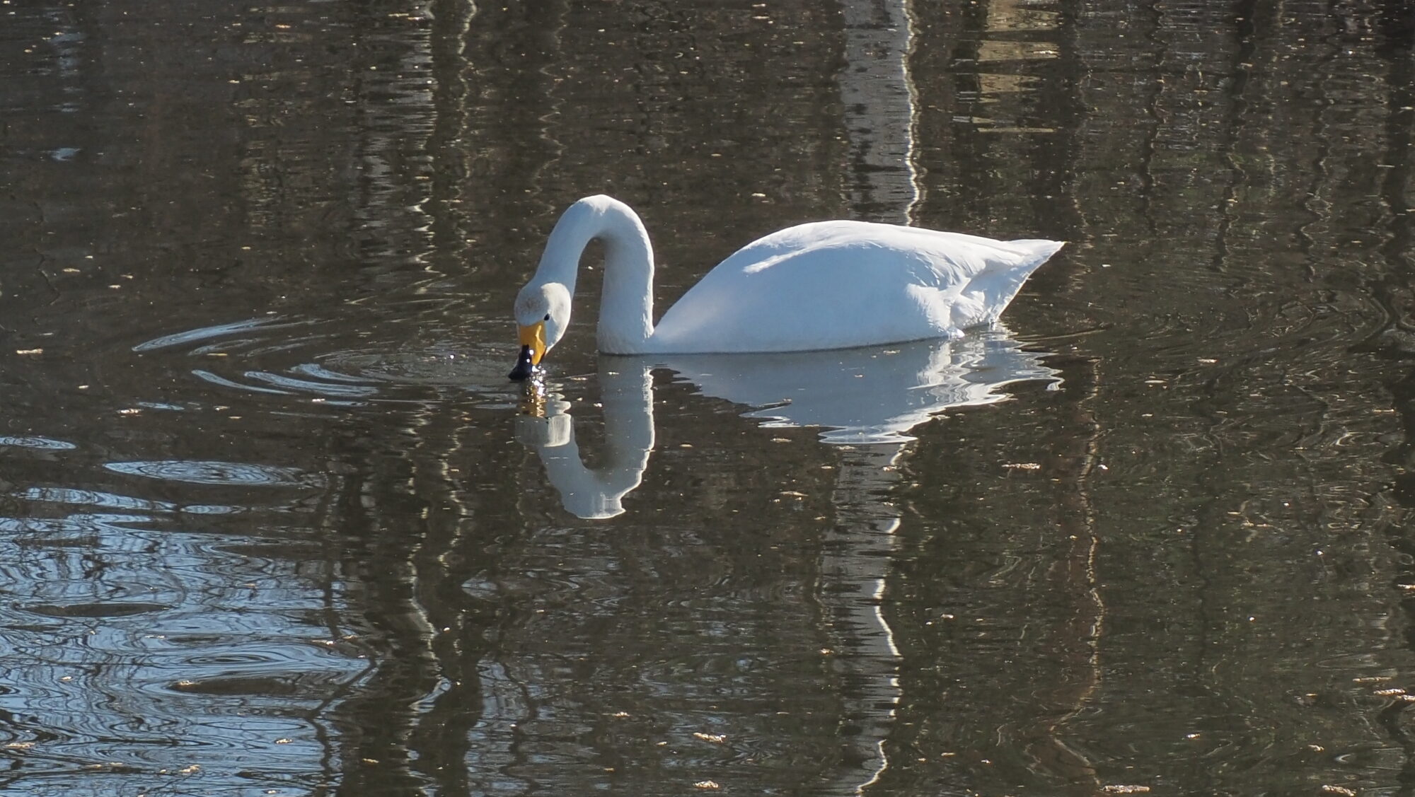 Valokuvaaja: Arja Valtonen