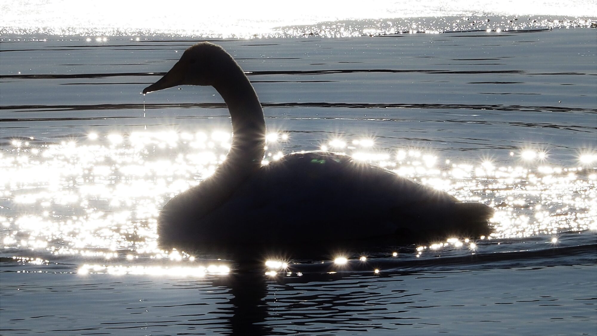 Valokuvaaja: Martti Valtonen
