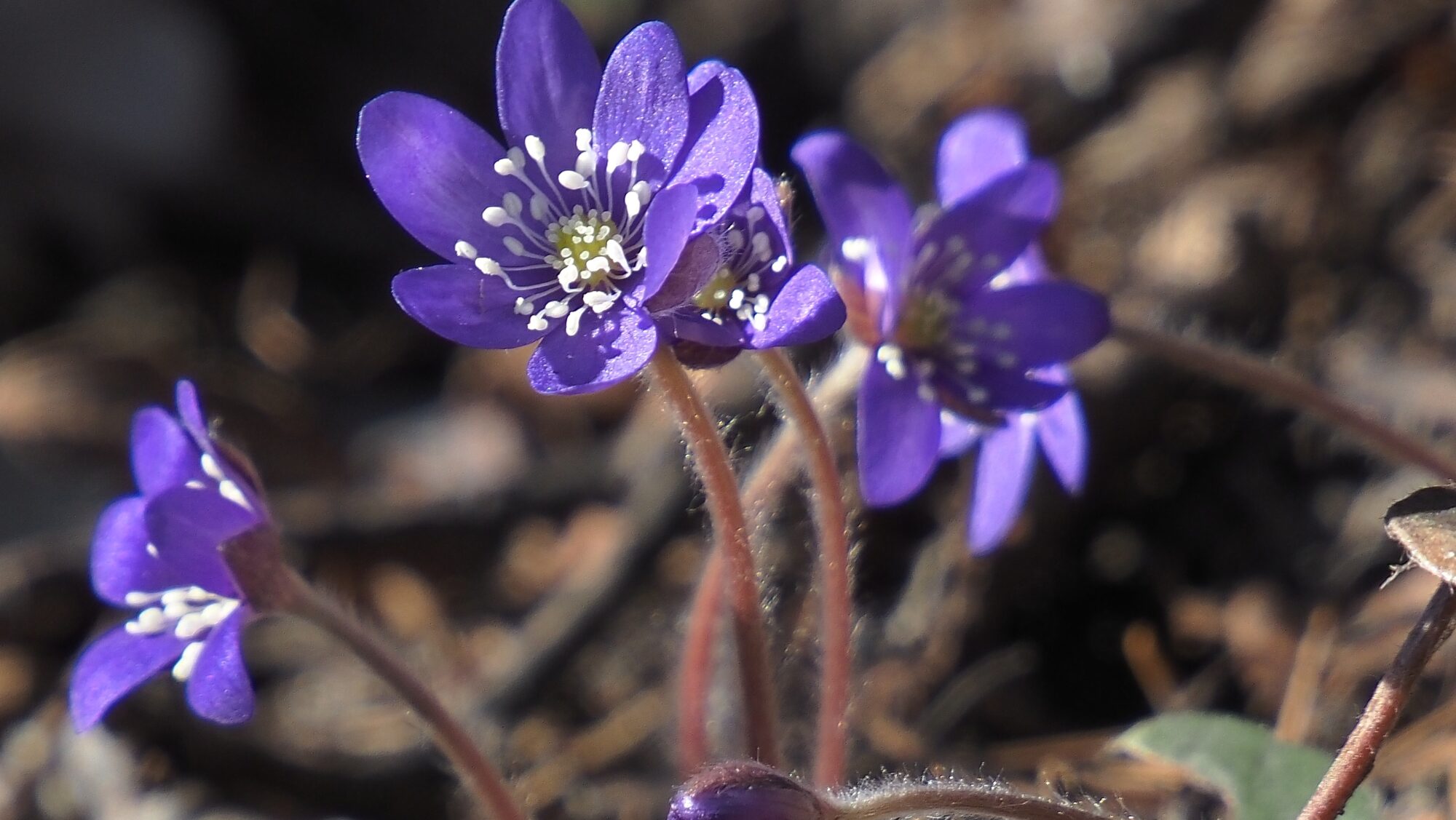 Valokuvaaja: Arja Valtonen