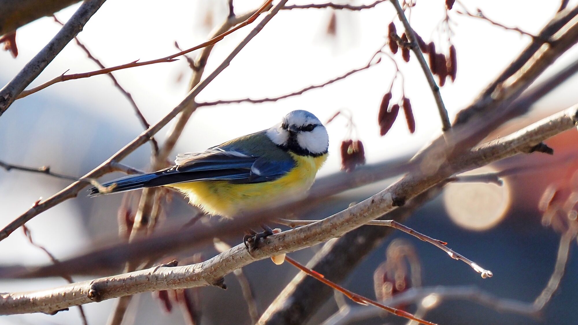 Valokuvaaja: Arja Valtonen