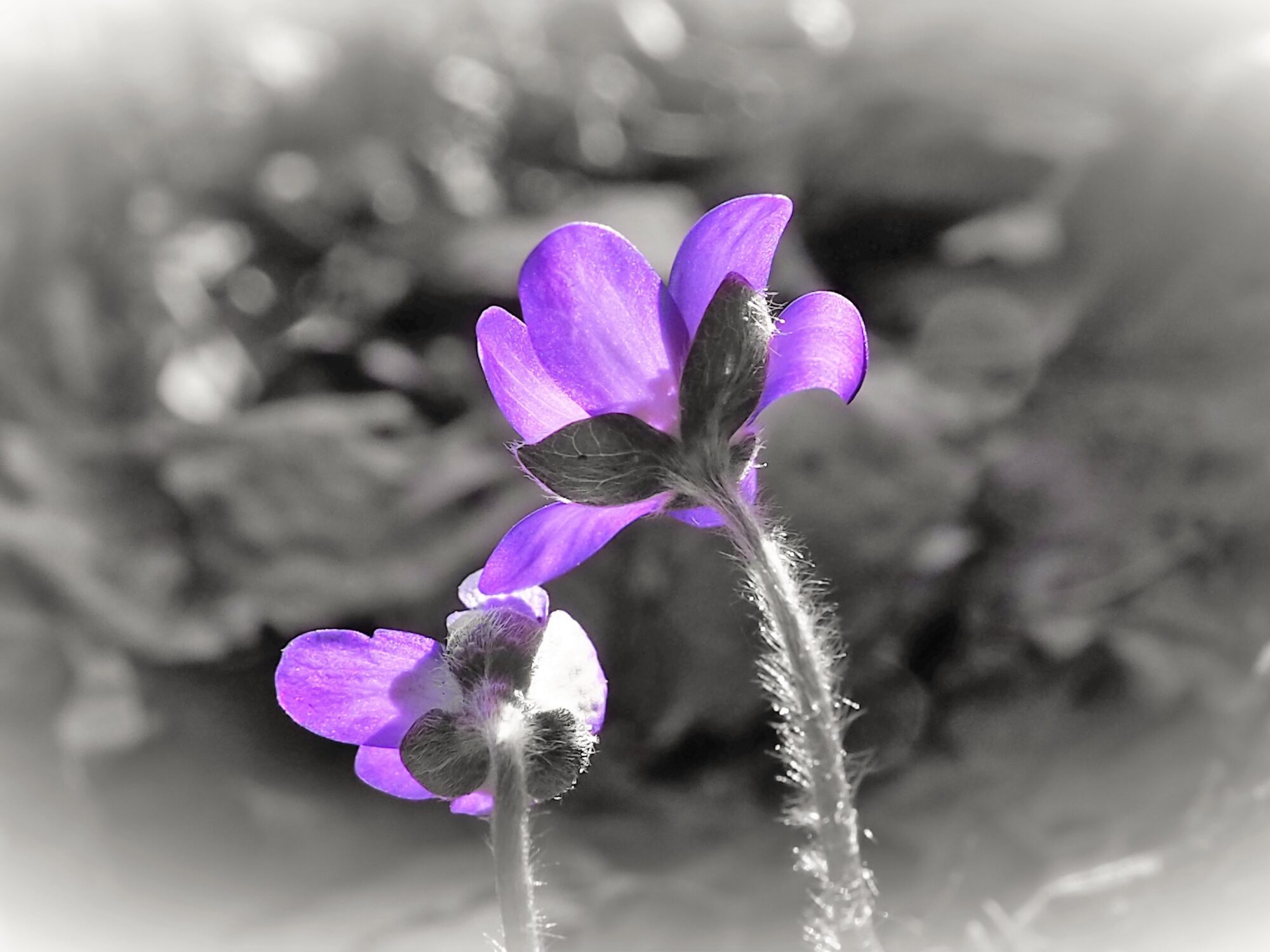 Valokuvaaja: Martti Valtonen