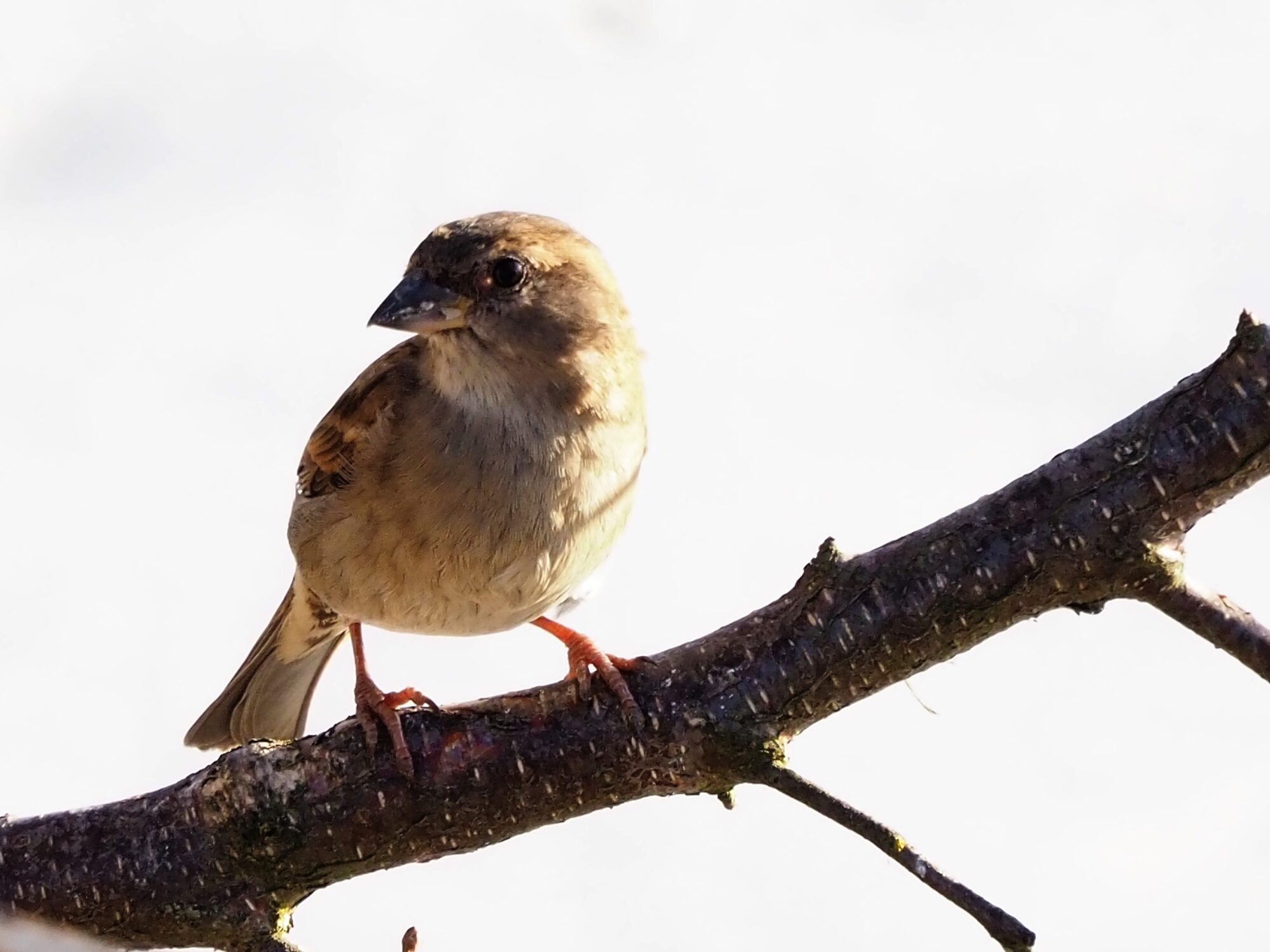 Valokuvaaja: Martti Valtonen