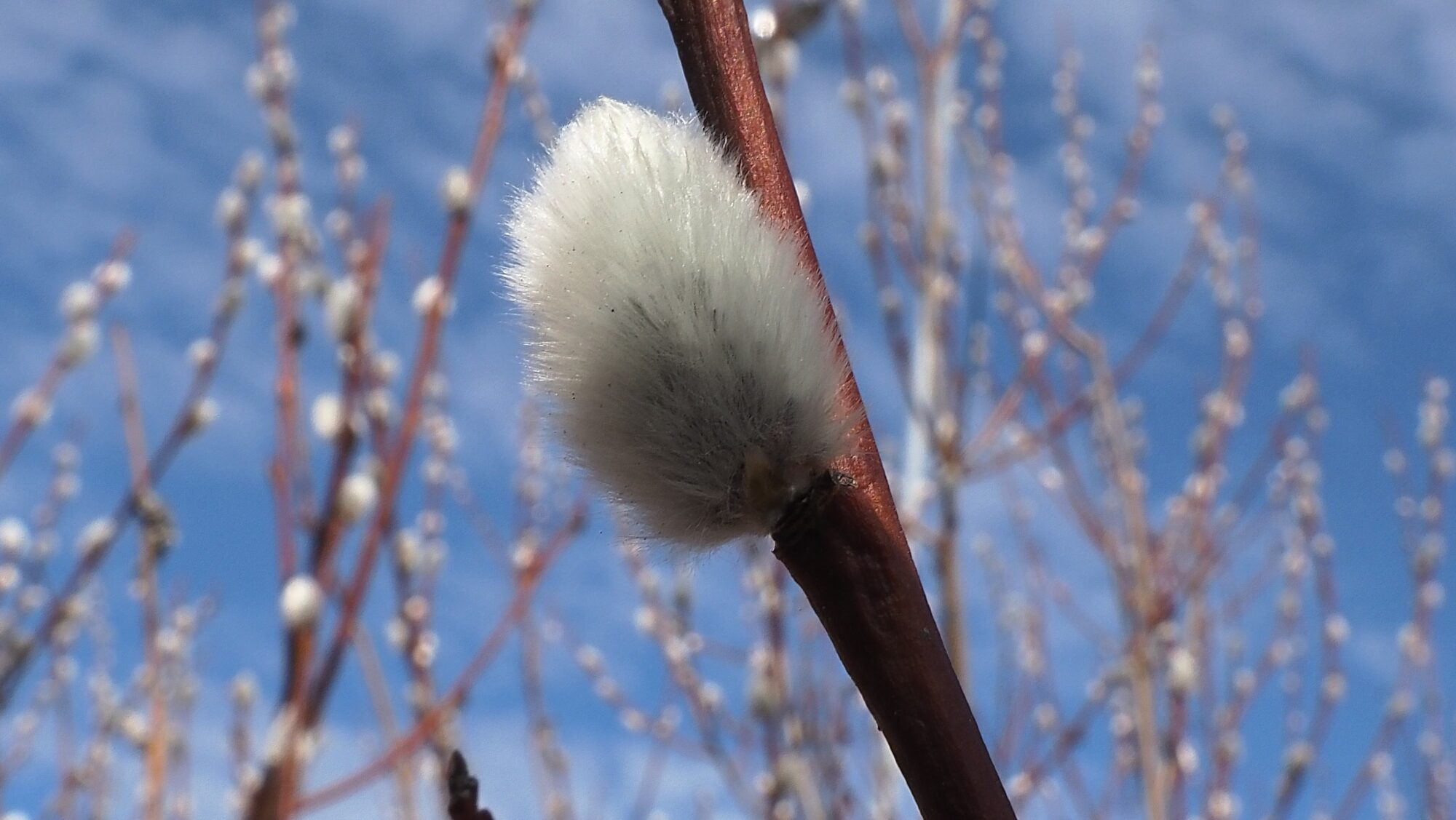 Valokuvaaja: Arja Valtonen
