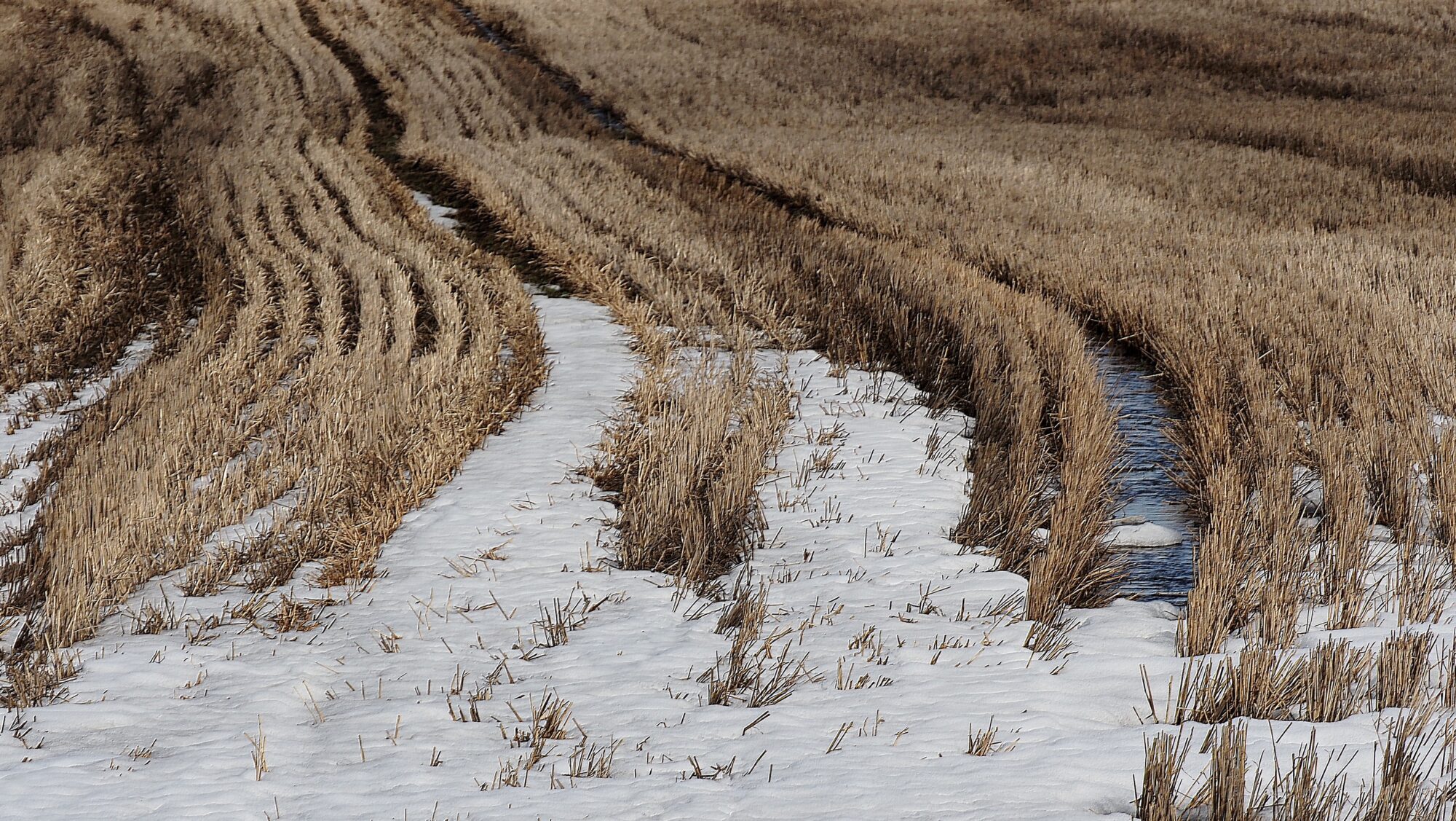 Valokuvaaja: Arja Valtonen