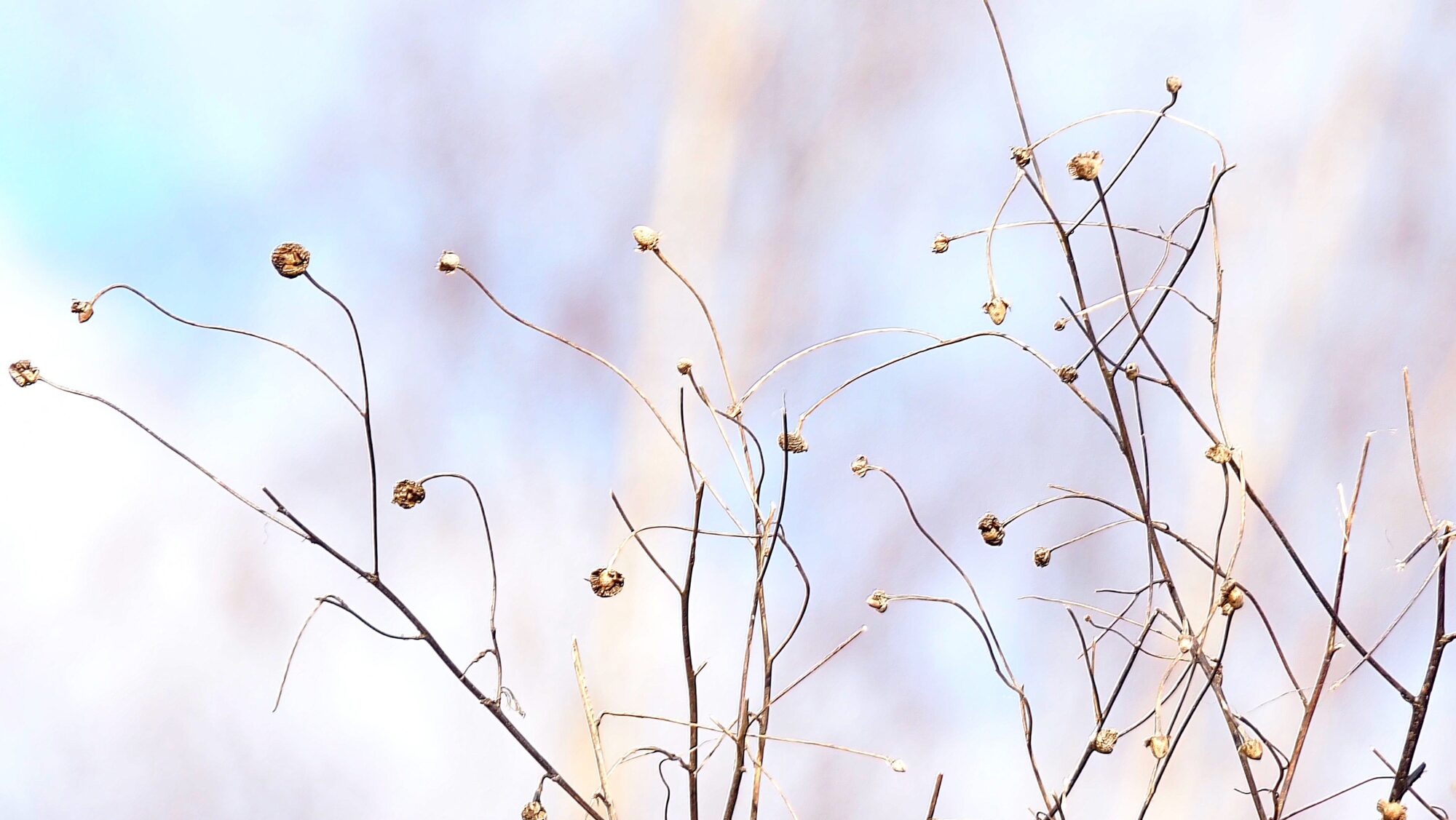 Valokuvaaja: Arja Valtonen