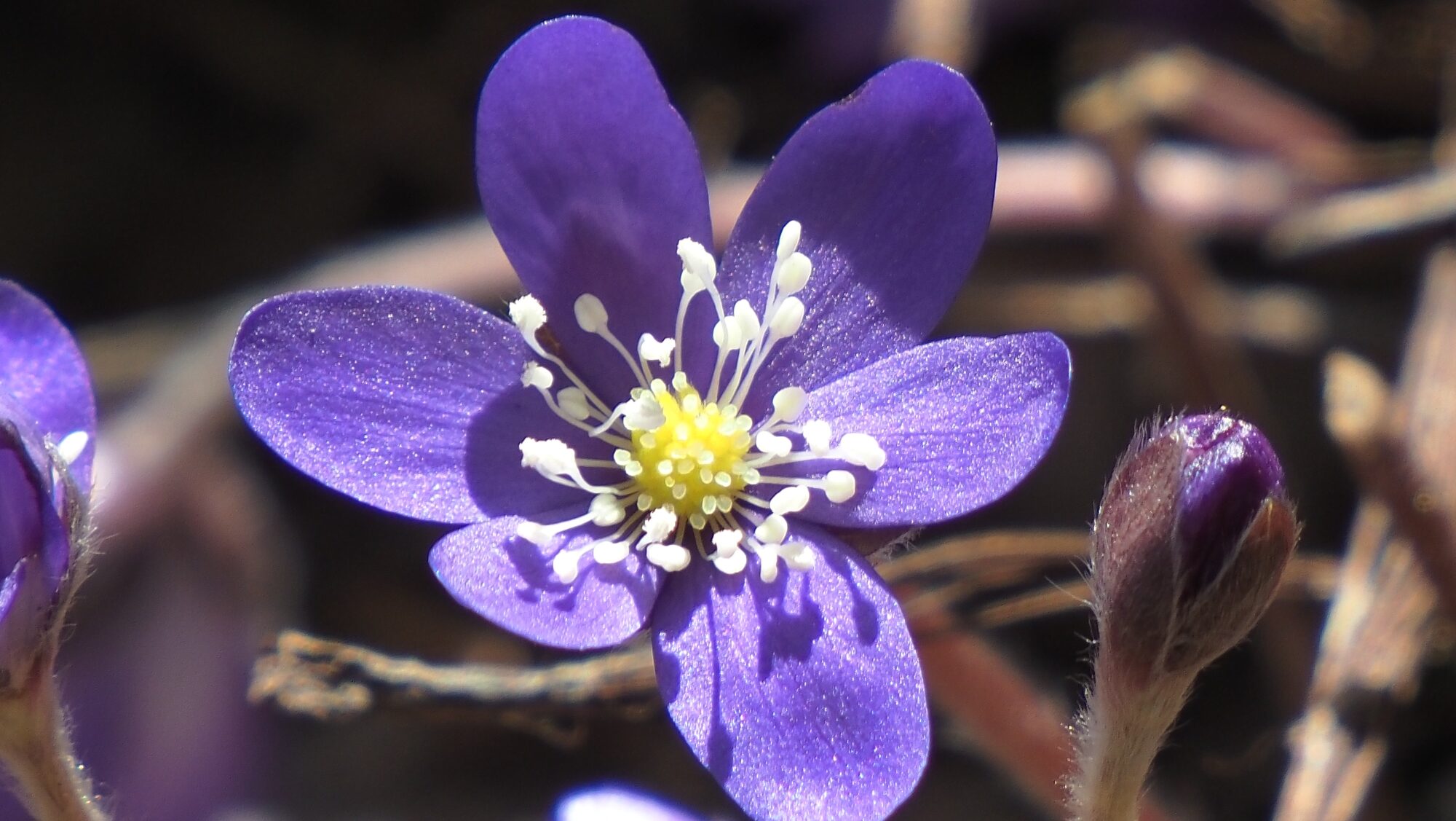 Valokuvaaja: Arja Valtonen